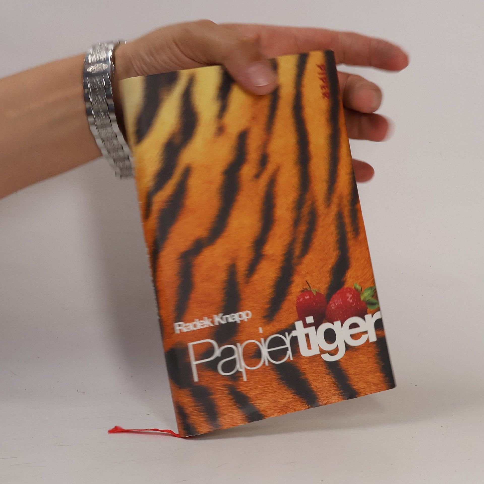 Radek Knapp Papiertiger