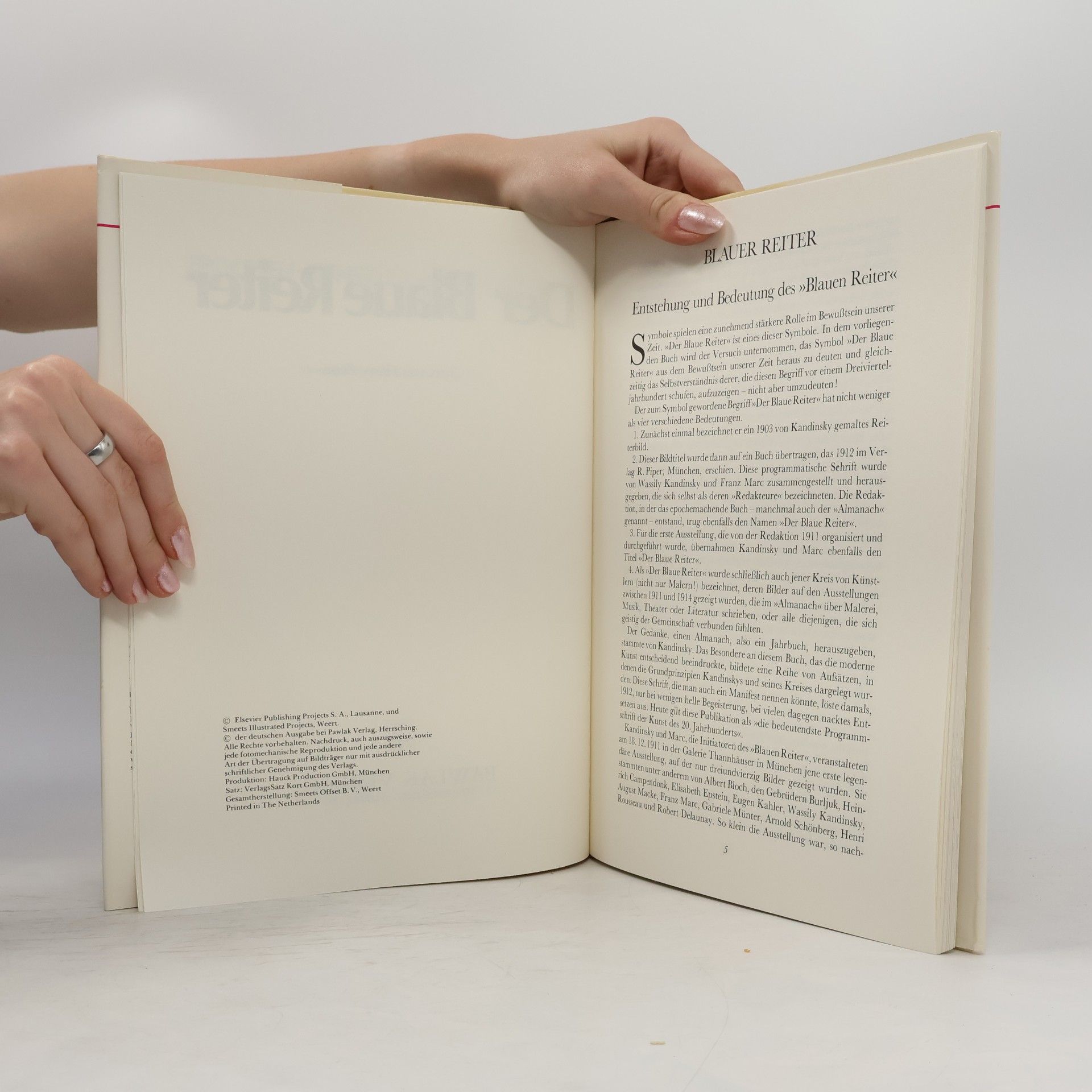 Autorenkollektiv Der Blaue Reiter mit 48 Farbtafeln
