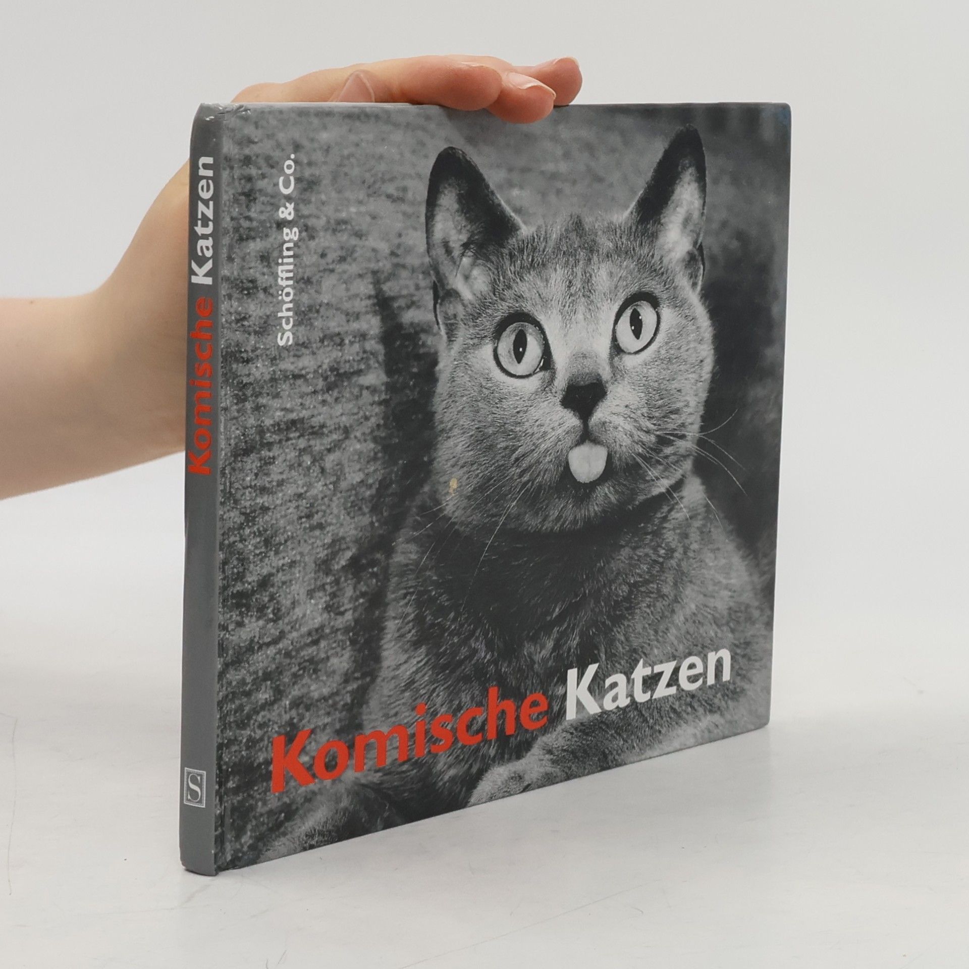 Julia Bachstein Komische Katzen