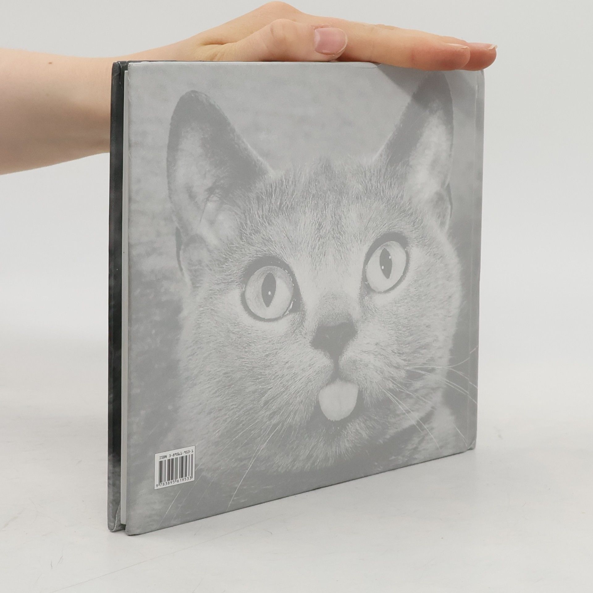 Julia Bachstein Komische Katzen