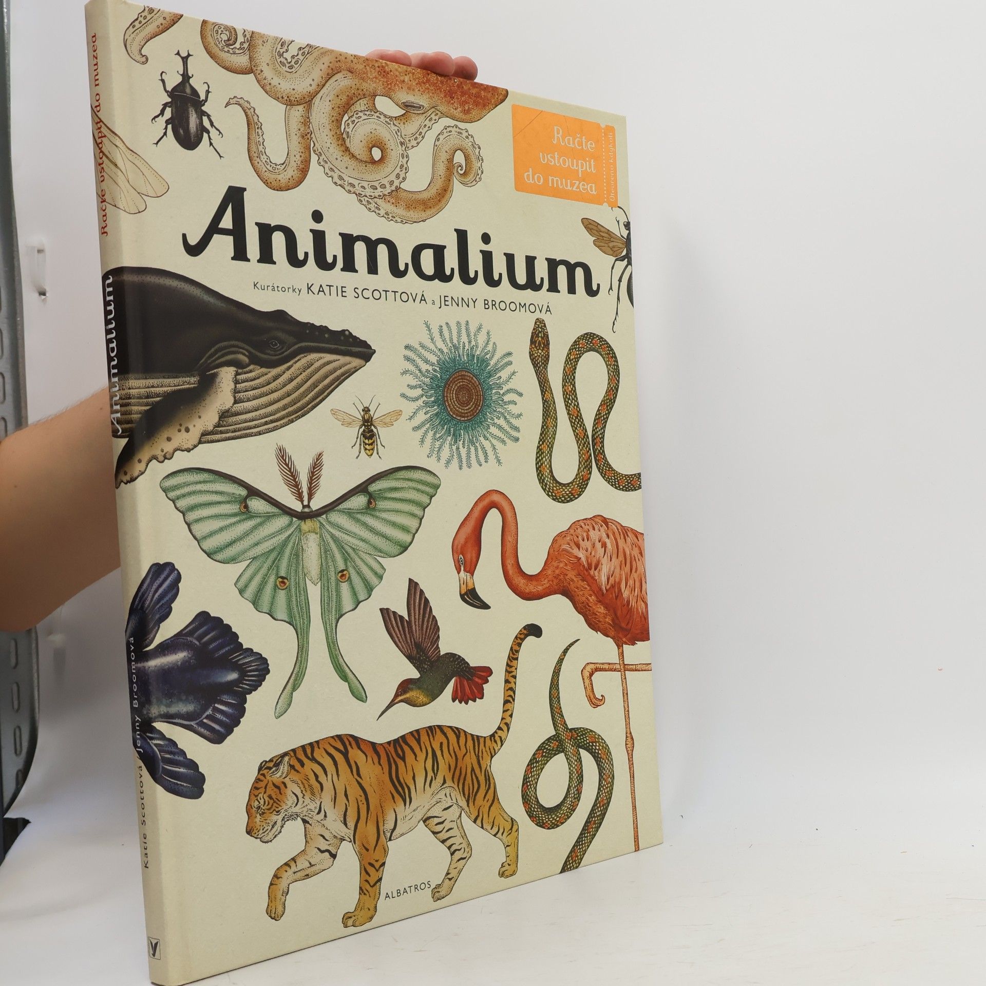 Animalium