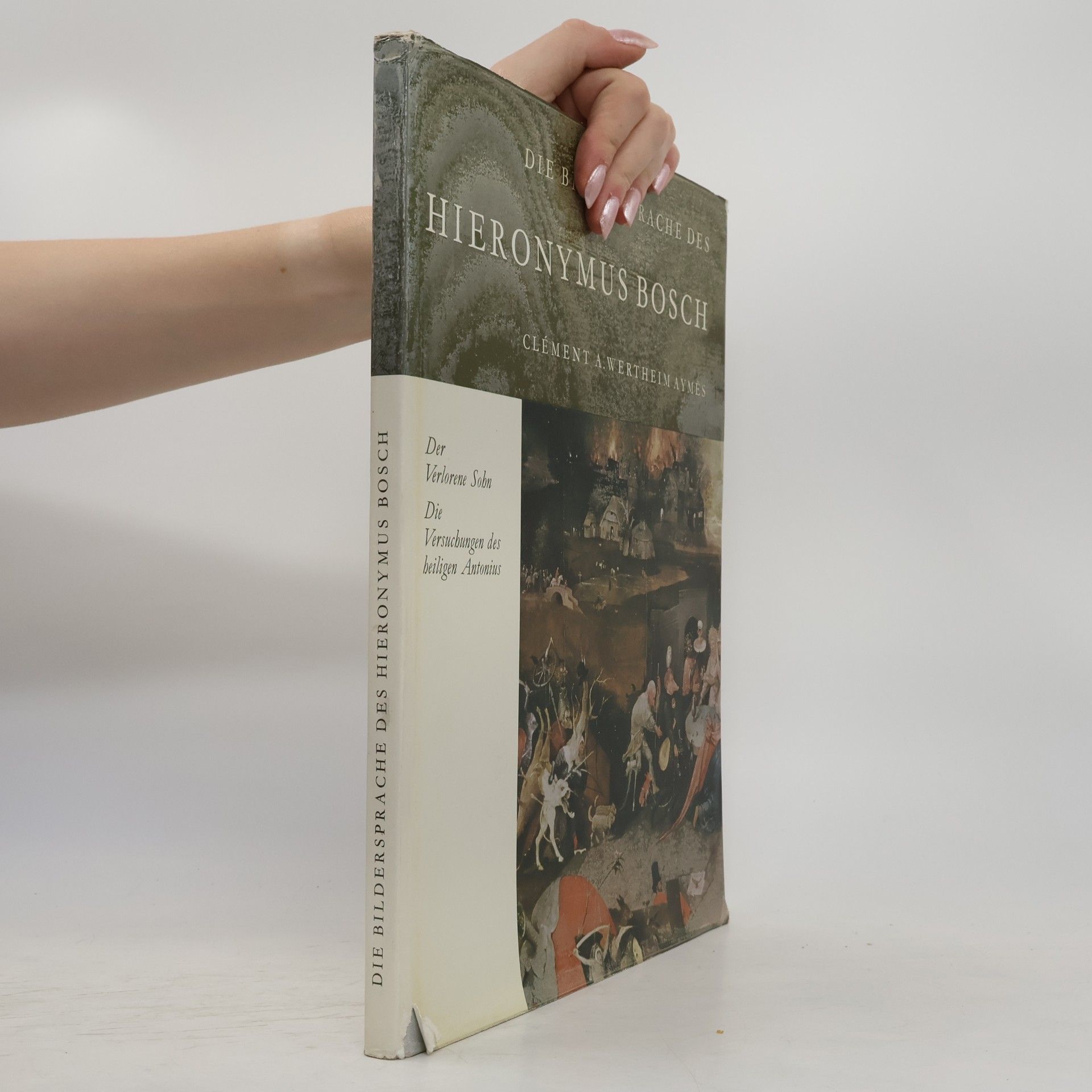 Clément Antoine Wertheim Aymés Die Bildersprache des Hieronymus Bosch