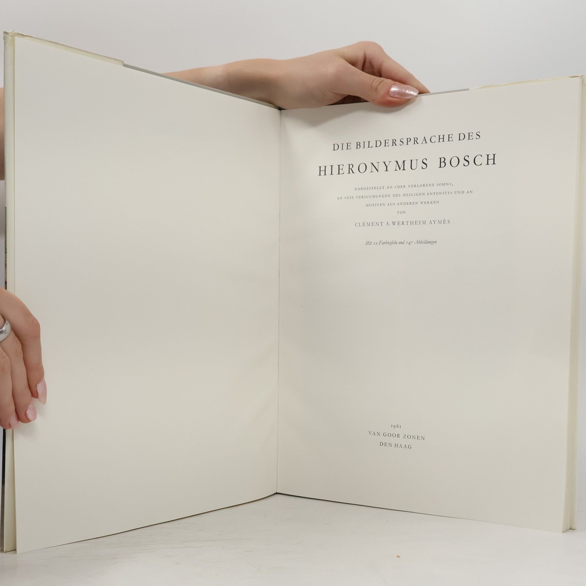 Clément Antoine Wertheim Aymés Die Bildersprache des Hieronymus Bosch