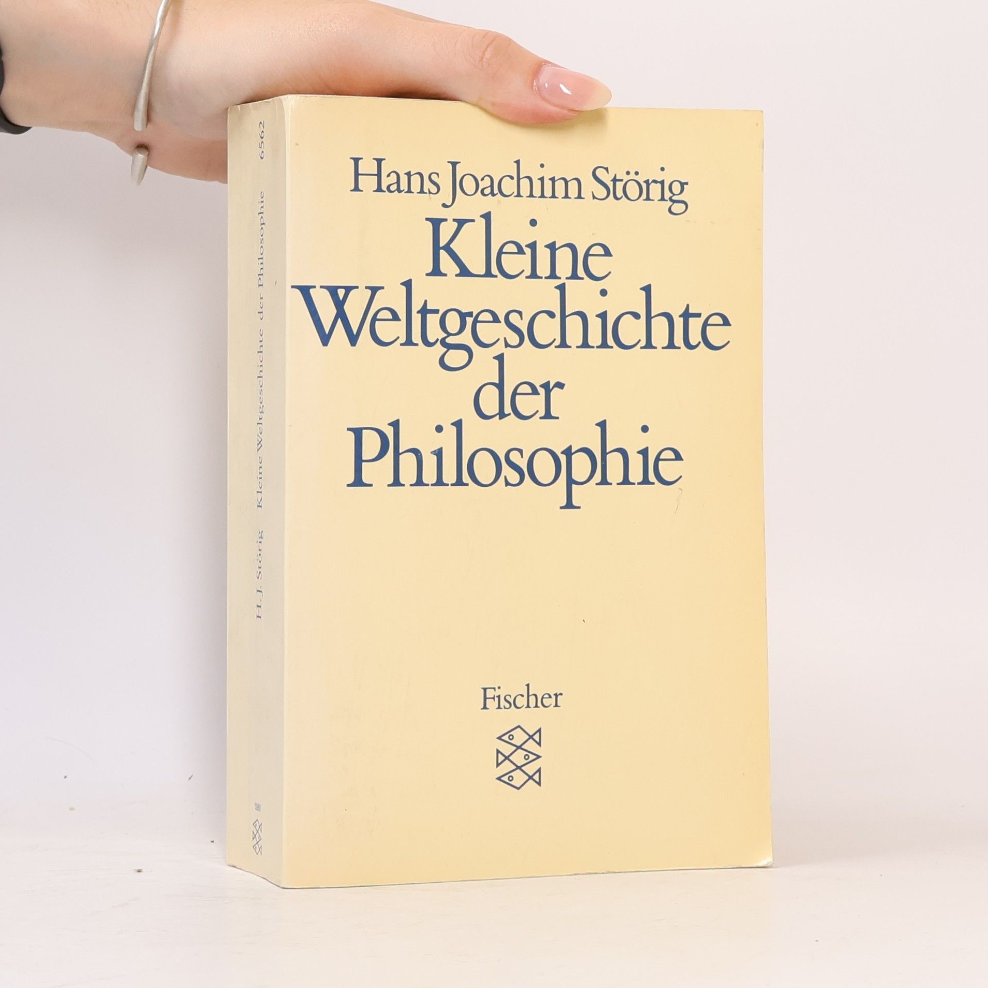 Hans Joachim Störig Kleine Weltgeschichte der Philosophie