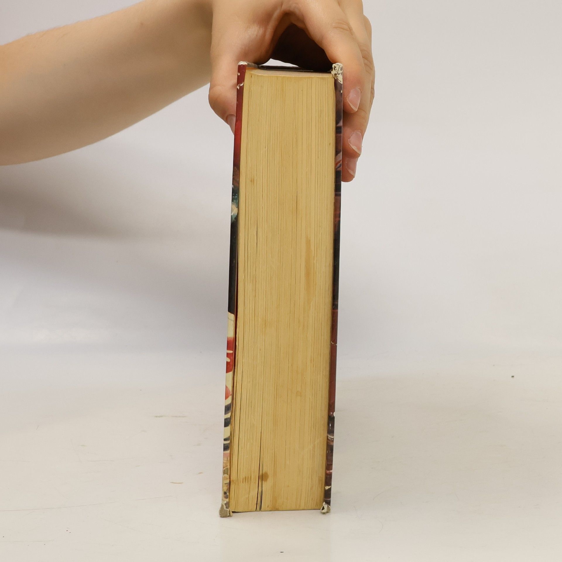 Elizabeth Schuler Mein Kochbuch von Elizabeth Schuler
