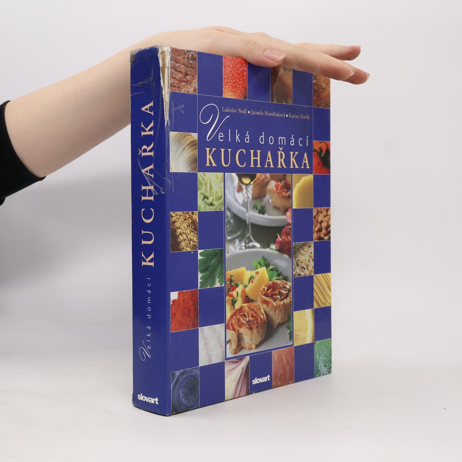 Ladislav Nodl Velká domácí kuchařka