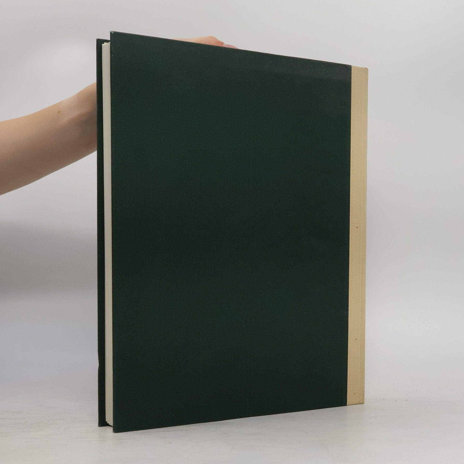 Wolfgang Braunfels Drei Jahrtausende Weltmalerei