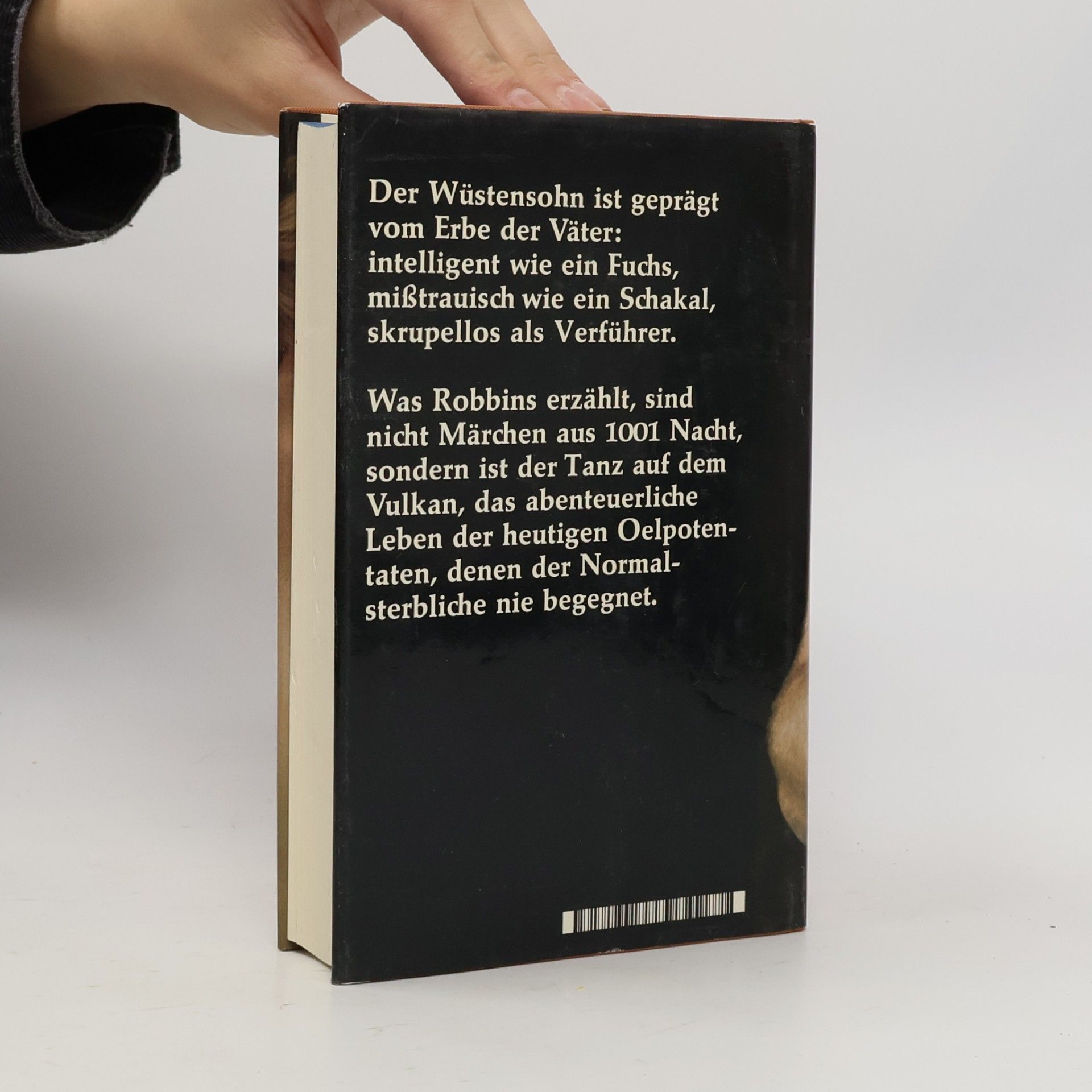Harold Robbins Der Pirat