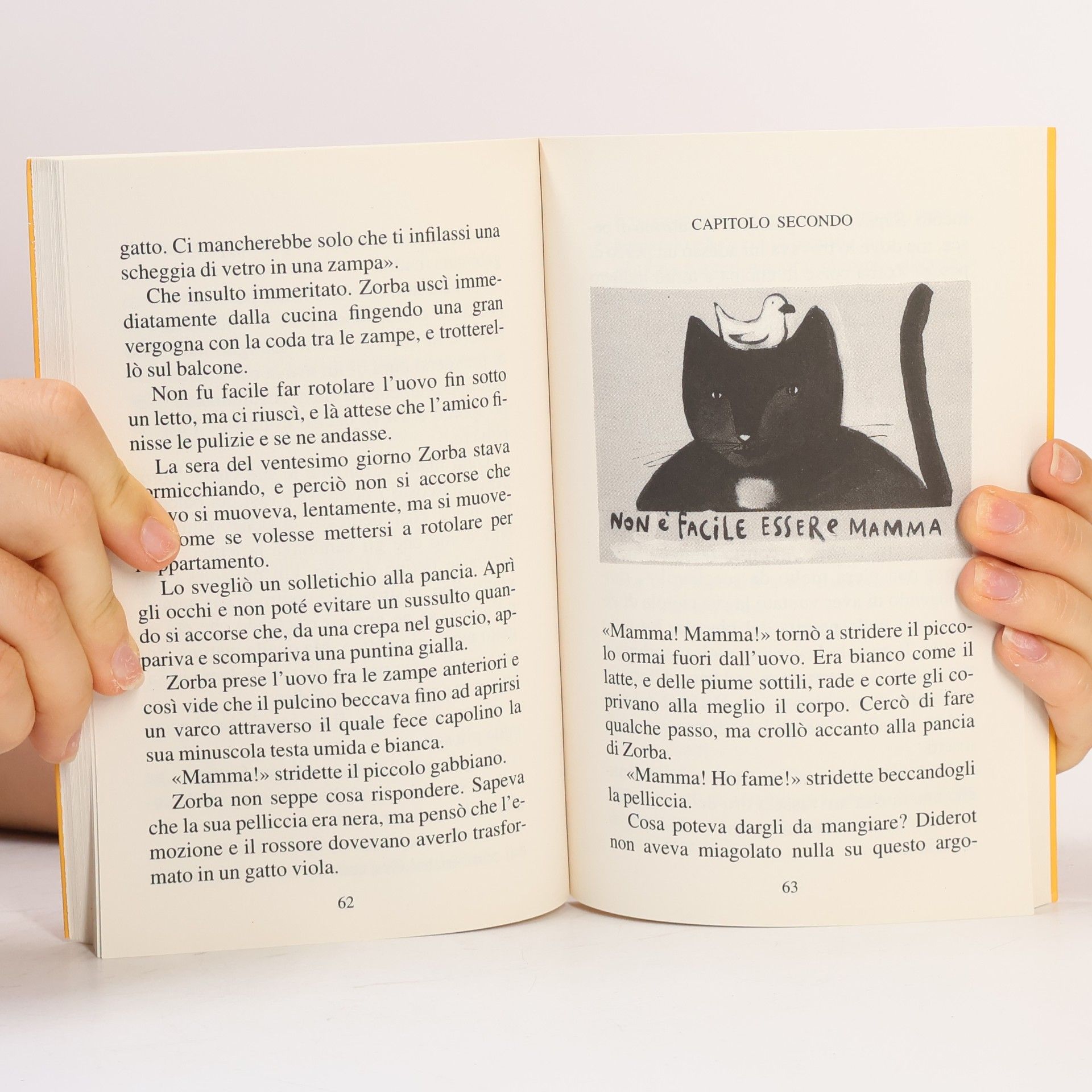Luis Sepúlveda Storia di una gabbianella e del gatto che le insegnò a volare