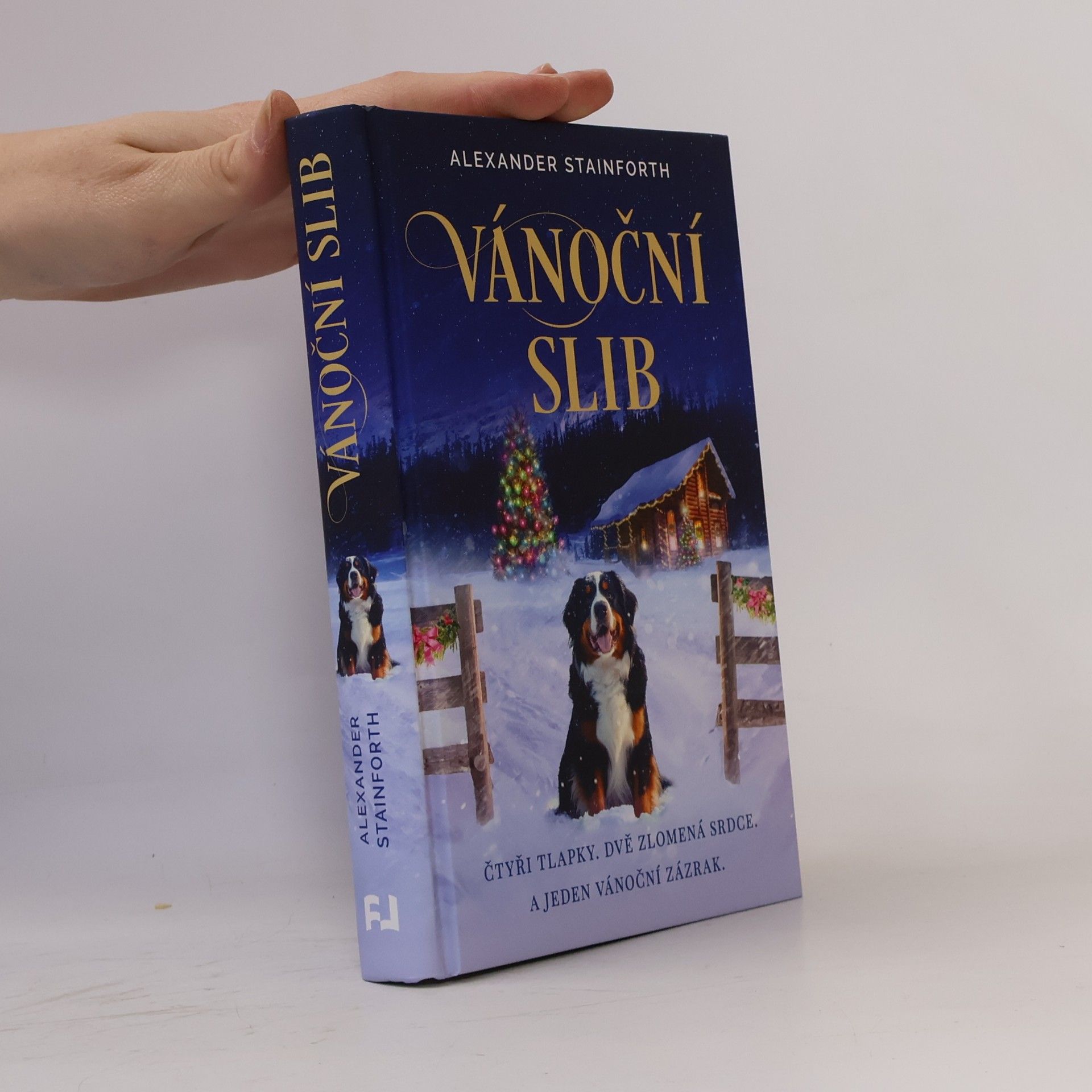 Vánoční slib