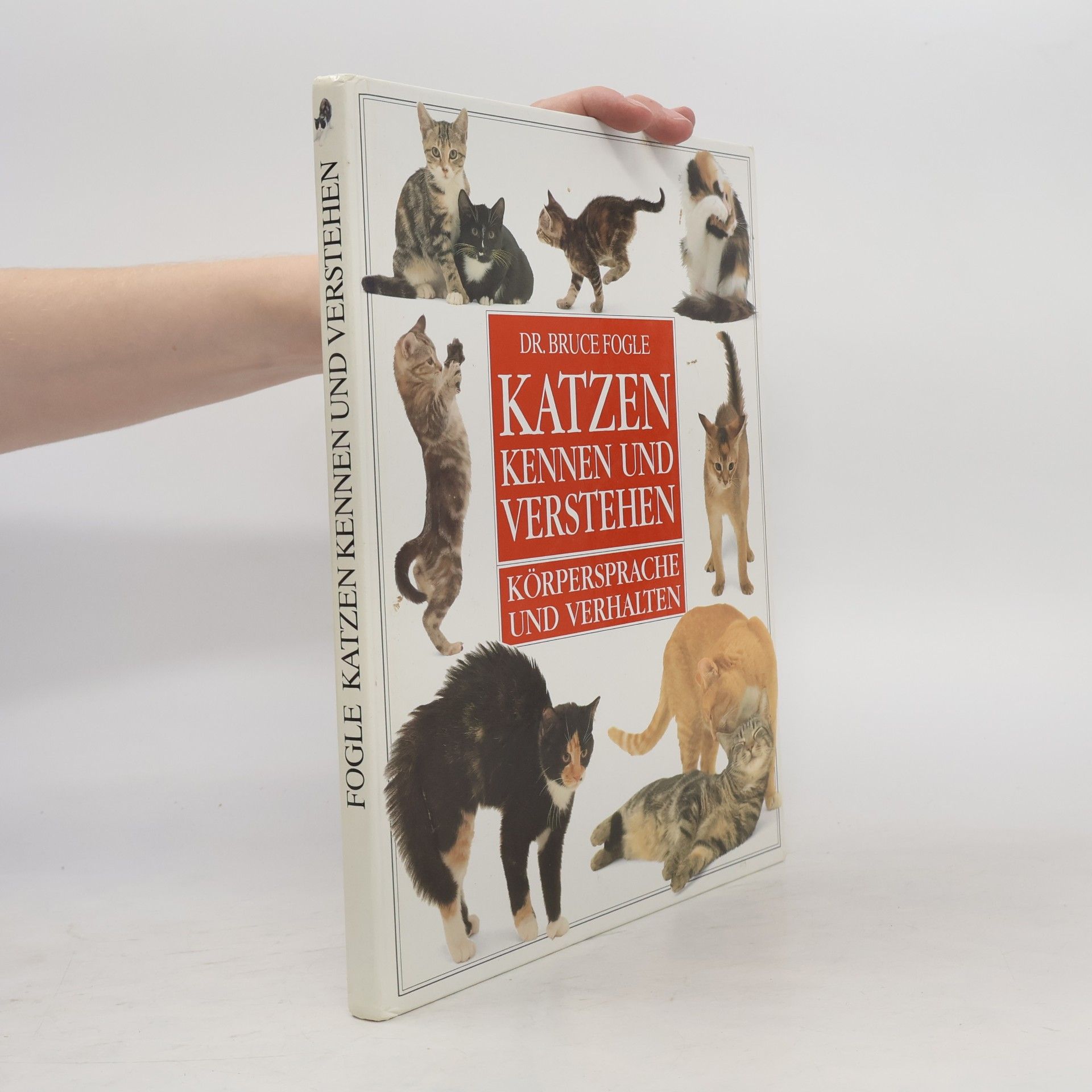 Bruce Fogle Katzen kennen und verstehen