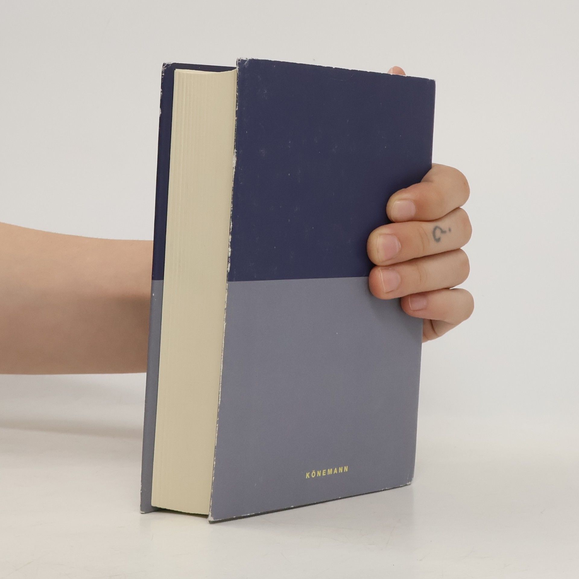 Friedrich Nietzsche Menschliches Allzumenschliches und andere Schriften. Werke 1