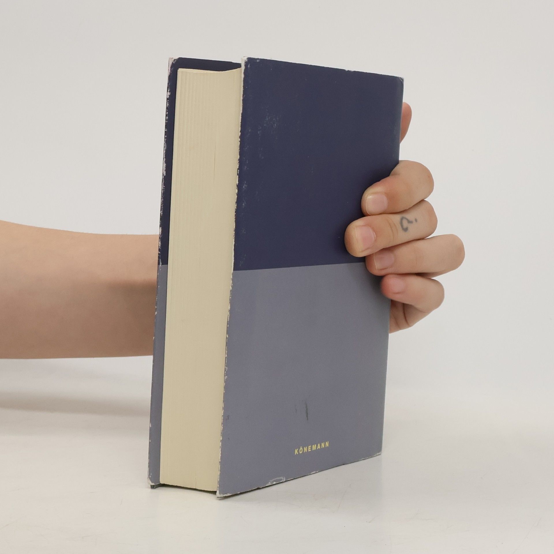 Friedrich Nietzsche Menschliches Allzumenschliches und andere Schriften. Werke 1