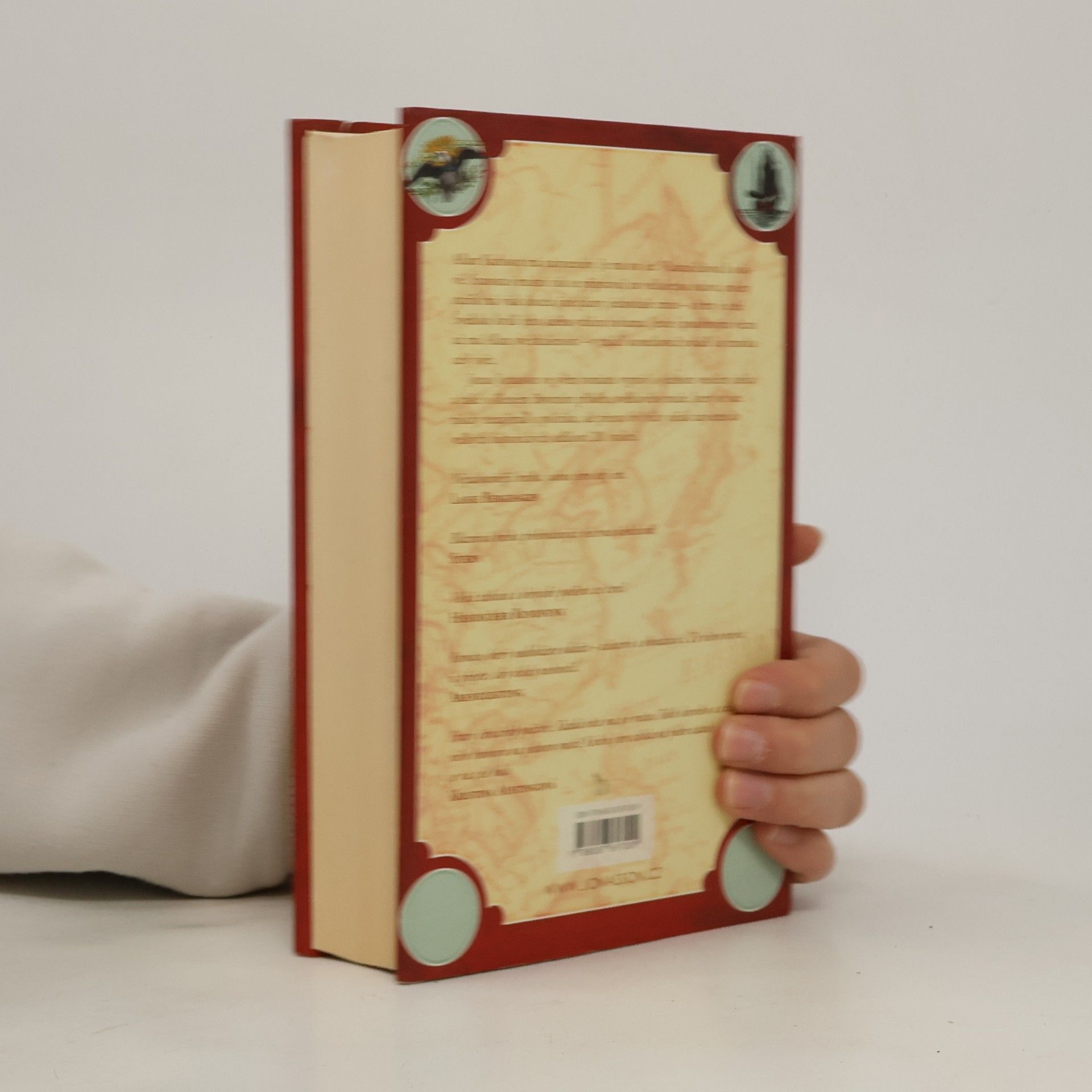 Jonas Jonasson Stoletý stařík, který vylezl z okna a zmizel
