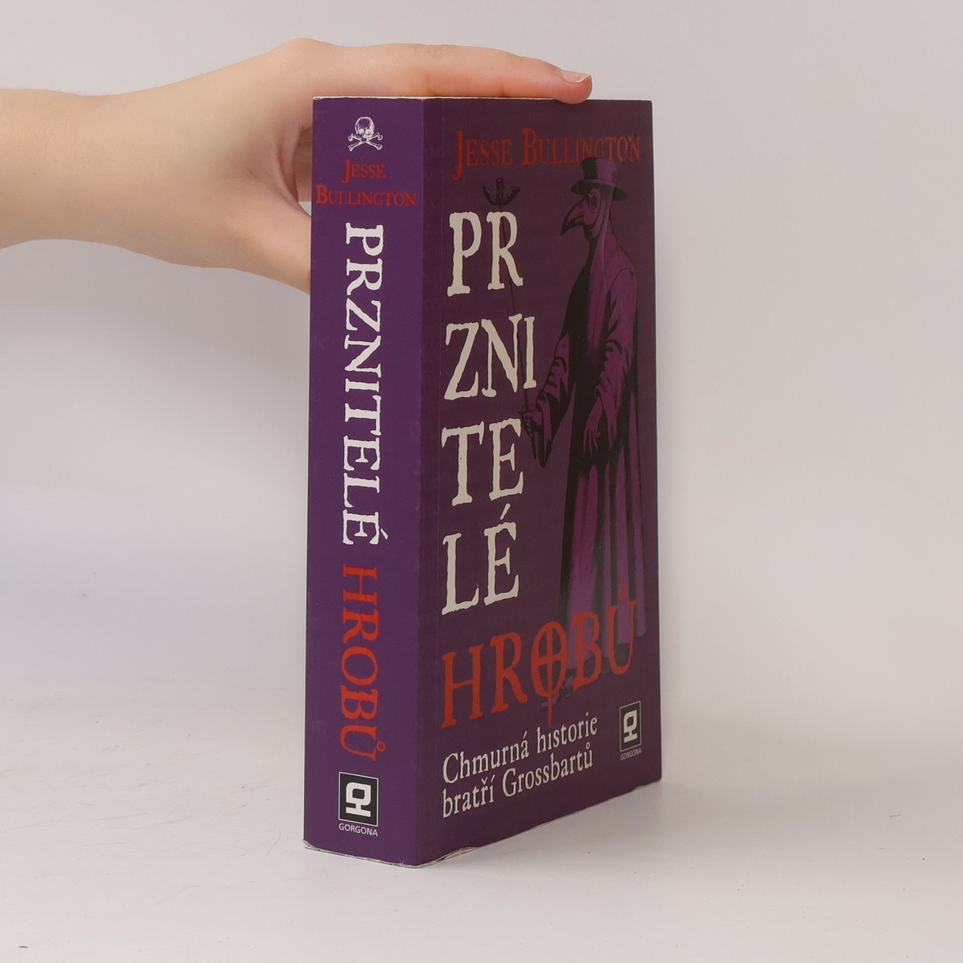 Jesse Bullington Prznitelé hrobů : chmurná historie bratří Grossbartů