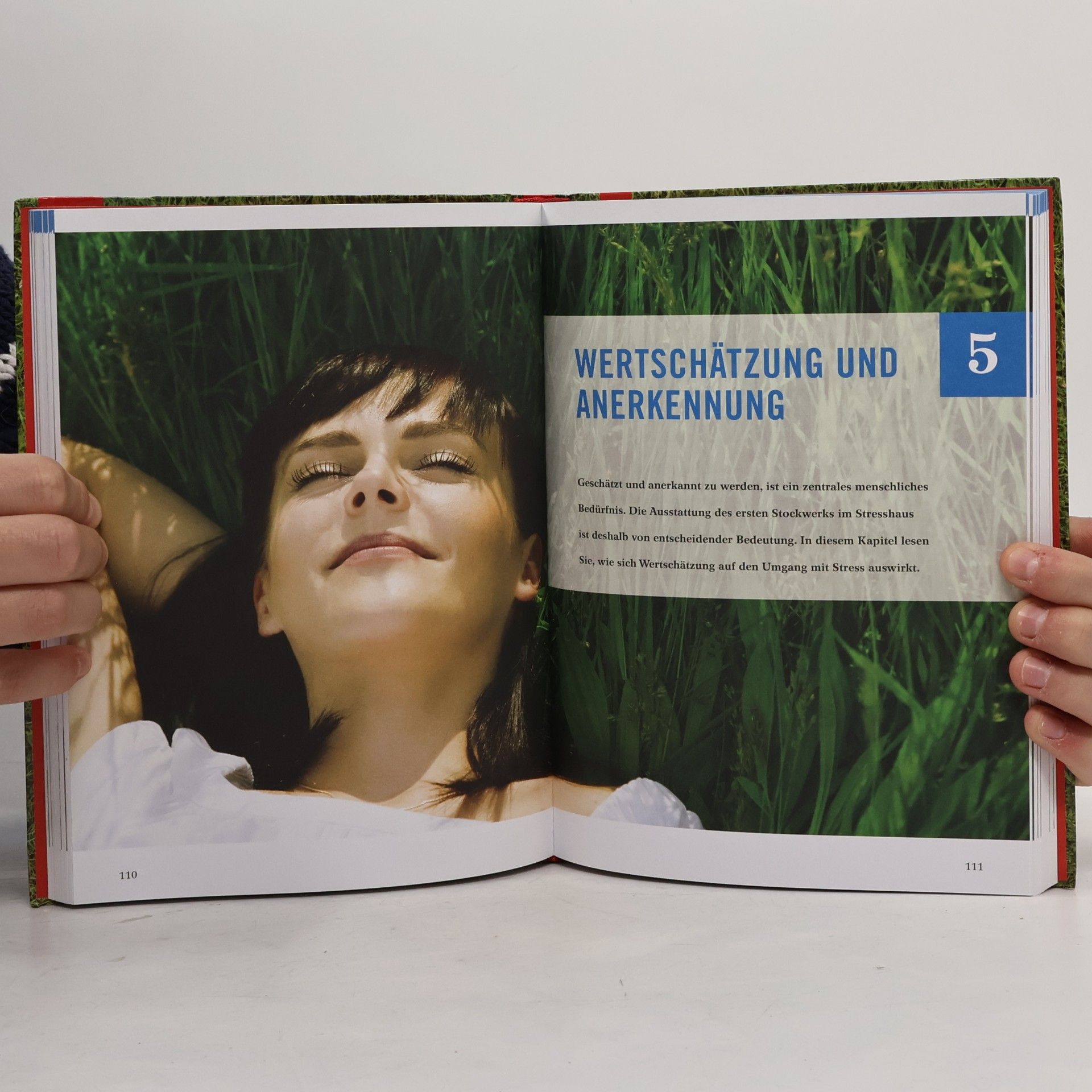 Guy Bodenmann Ohne Stress leben