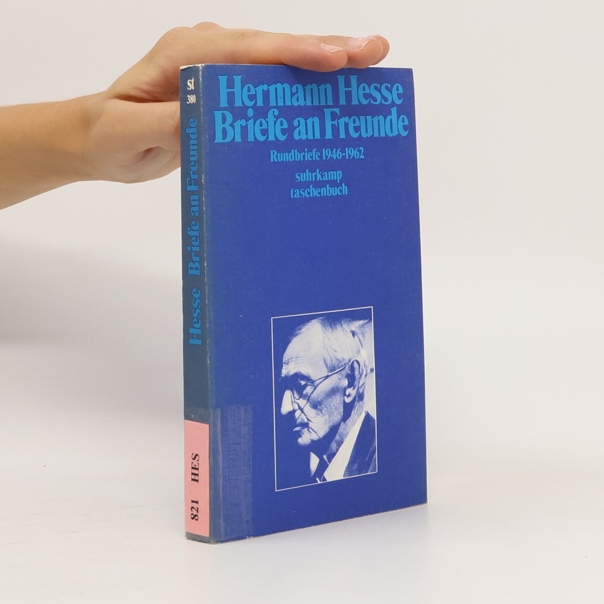 Hermann Hesse Briefe an Freunde