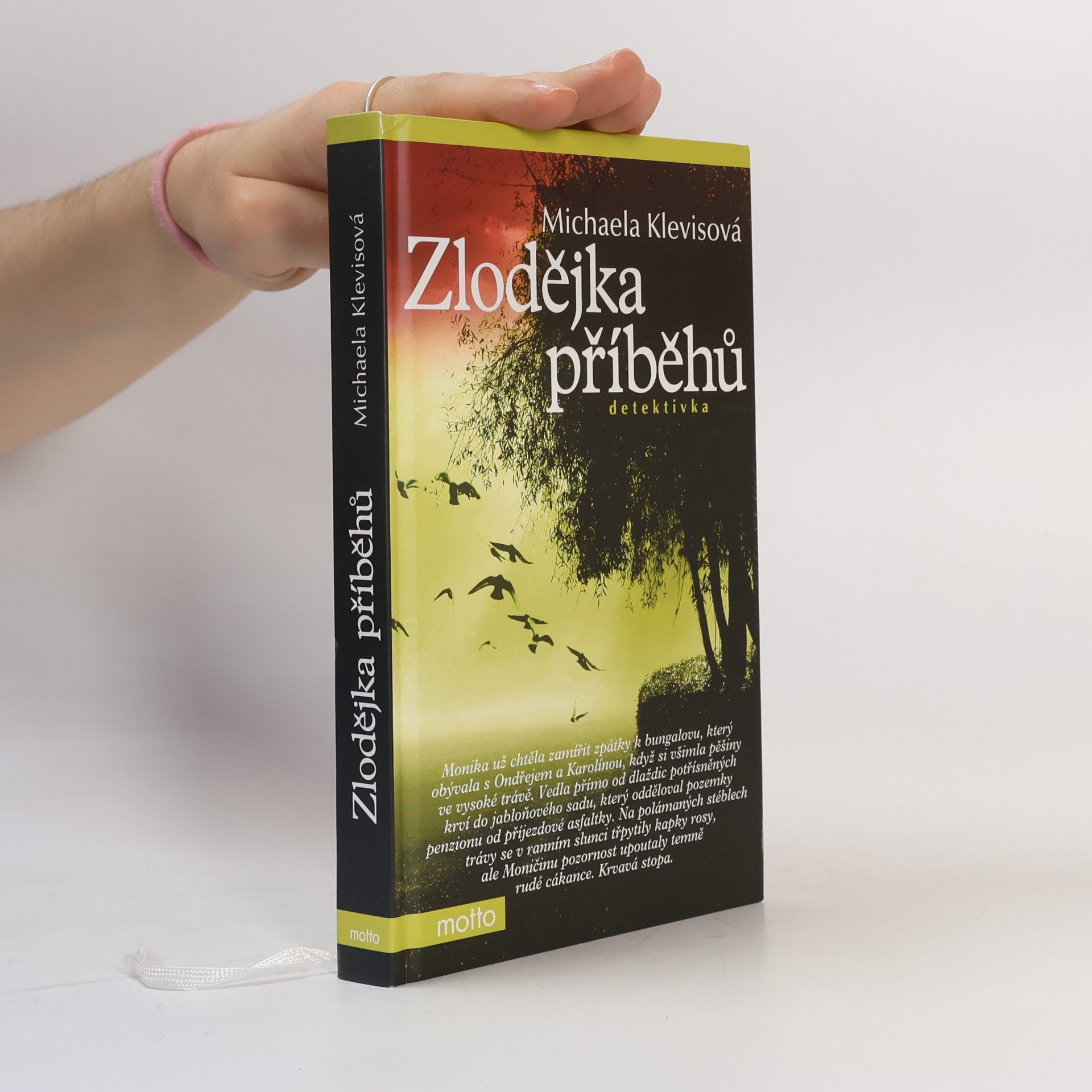 Zlodějka příběhů