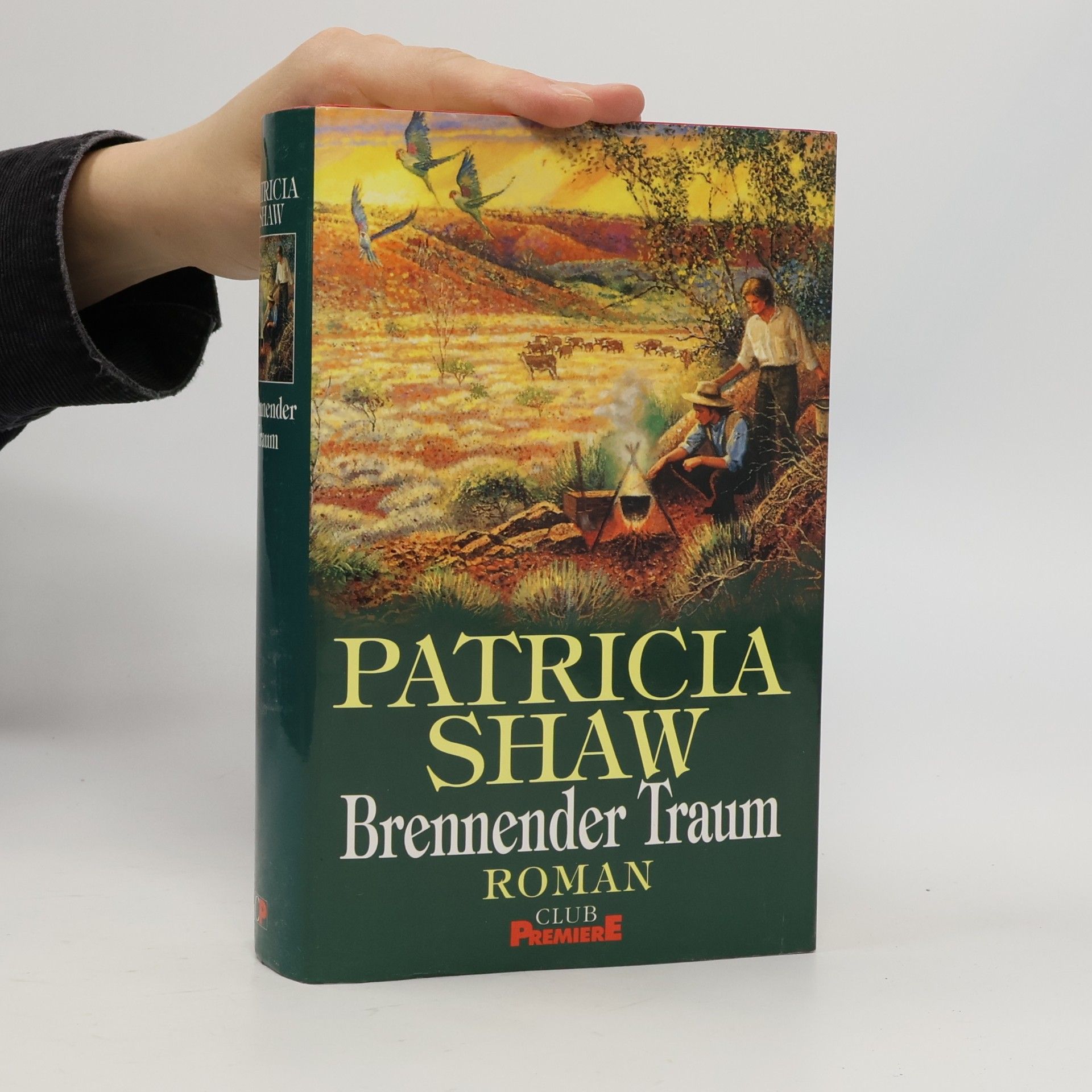 Patricia Shaw Brennender Traum