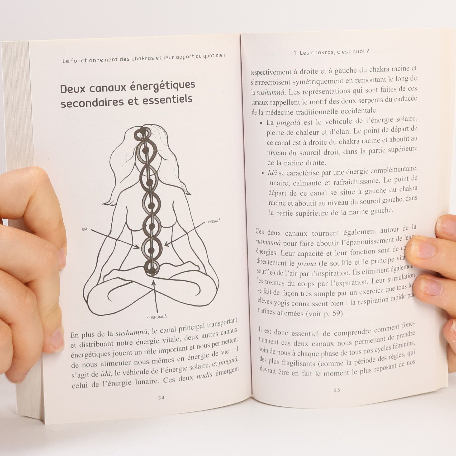 Ariane Calvo Sagesse des chakras au féminin