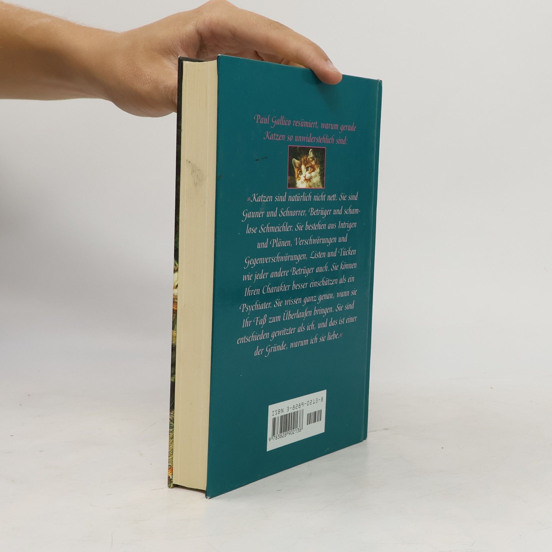 Autores varios Magie auf Samtpfoten