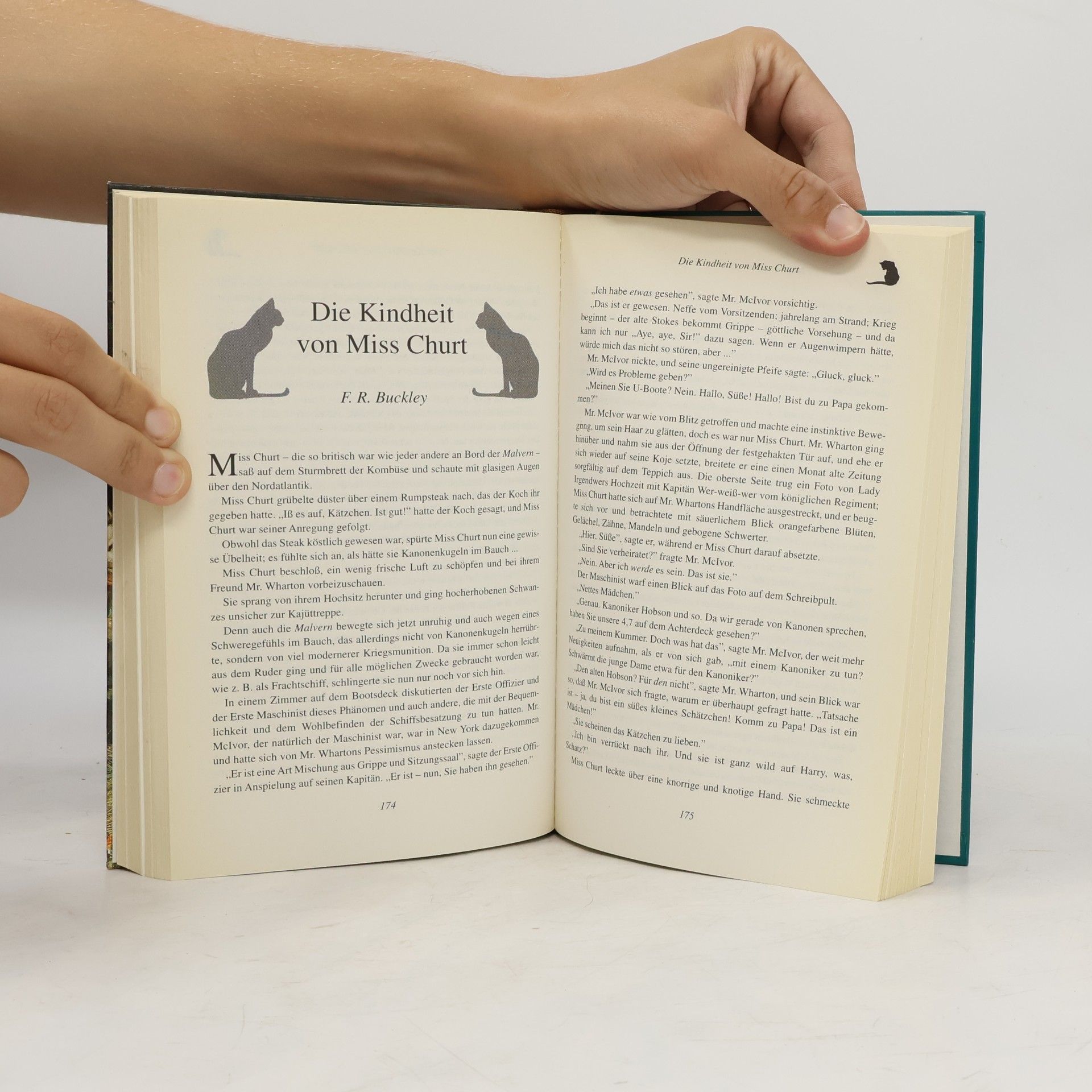 Autores varios Magie auf Samtpfoten