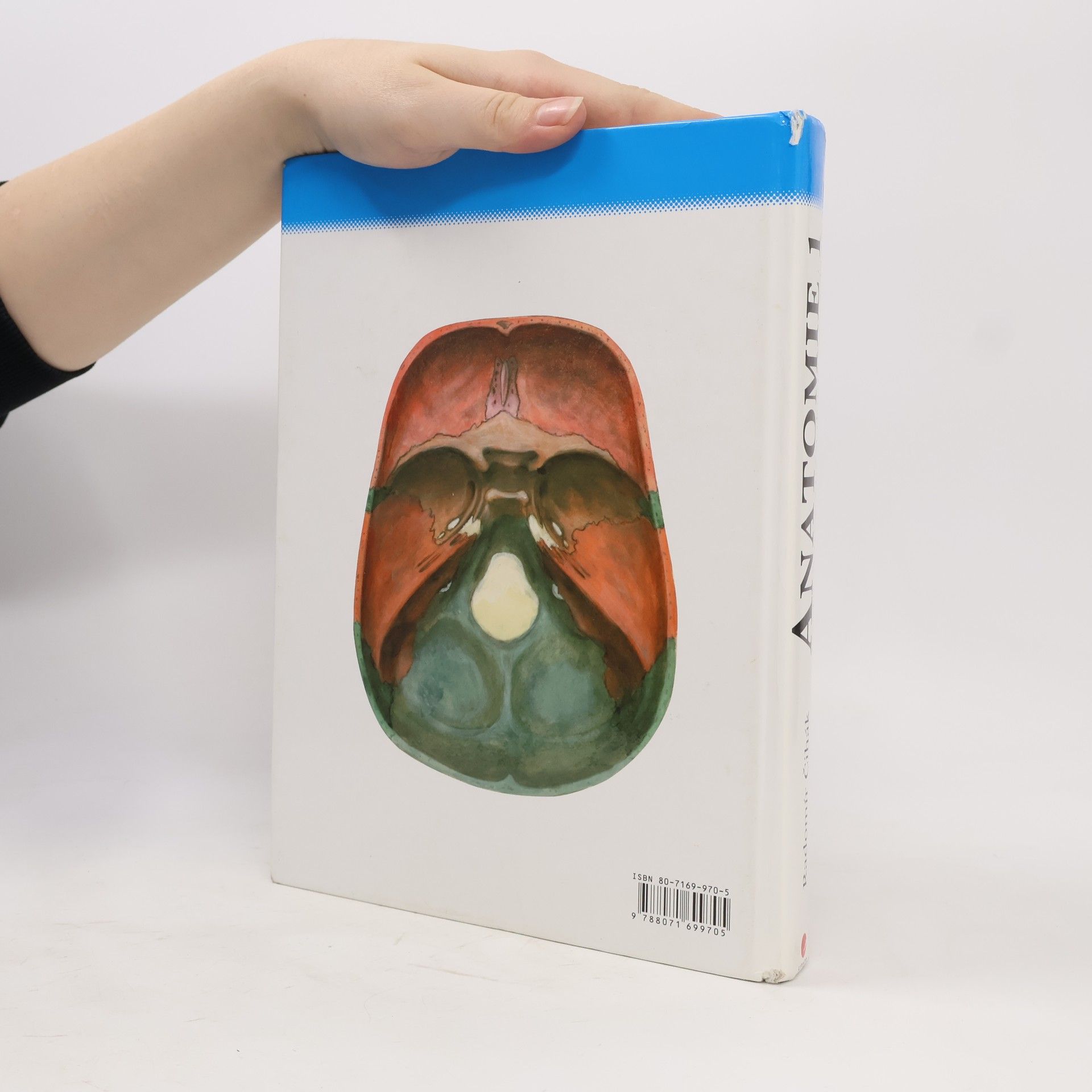 Radomír Čihák Anatomie 1