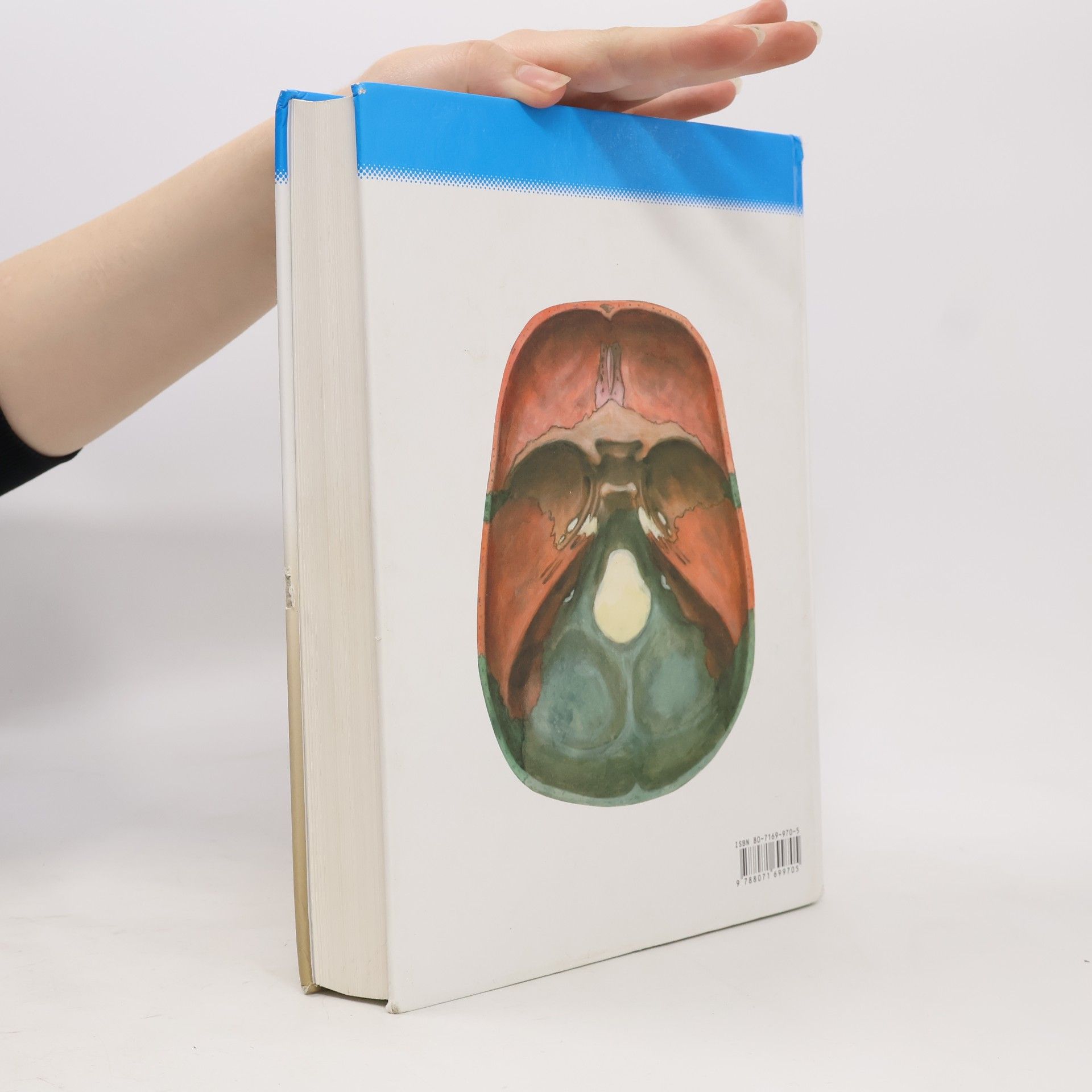 Radomír Čihák Anatomie 1
