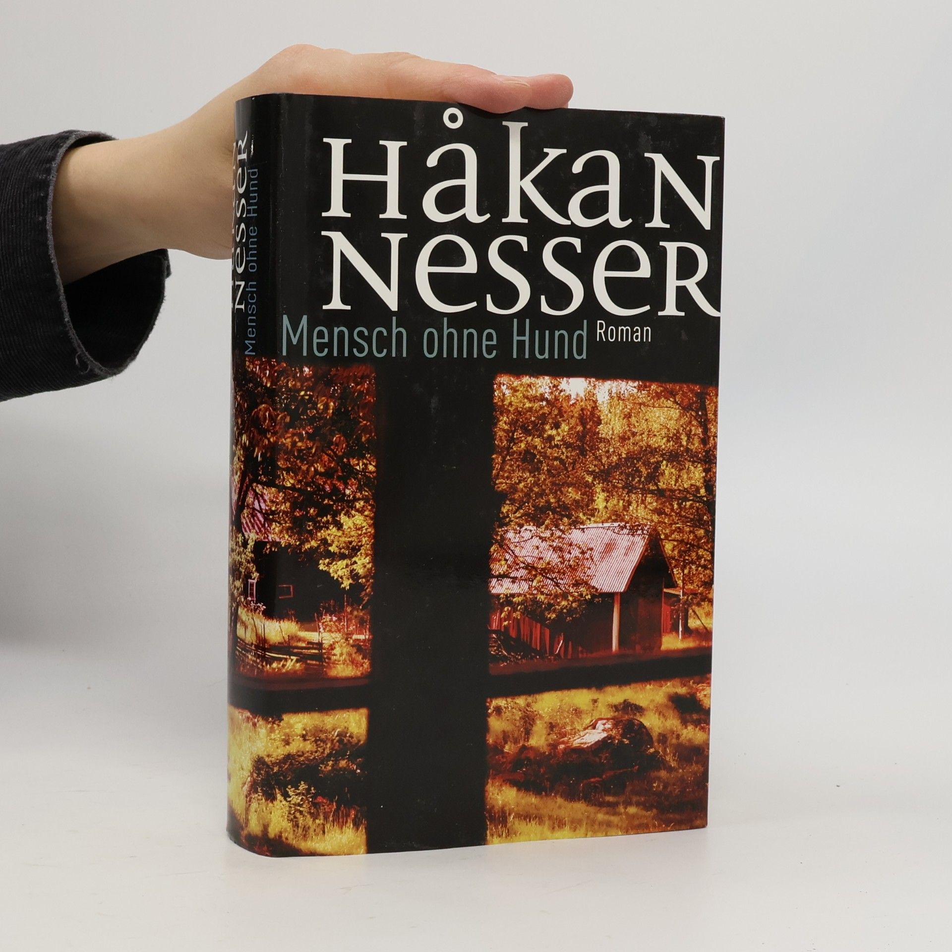 Håkan Nesser Mensch ohne Hund