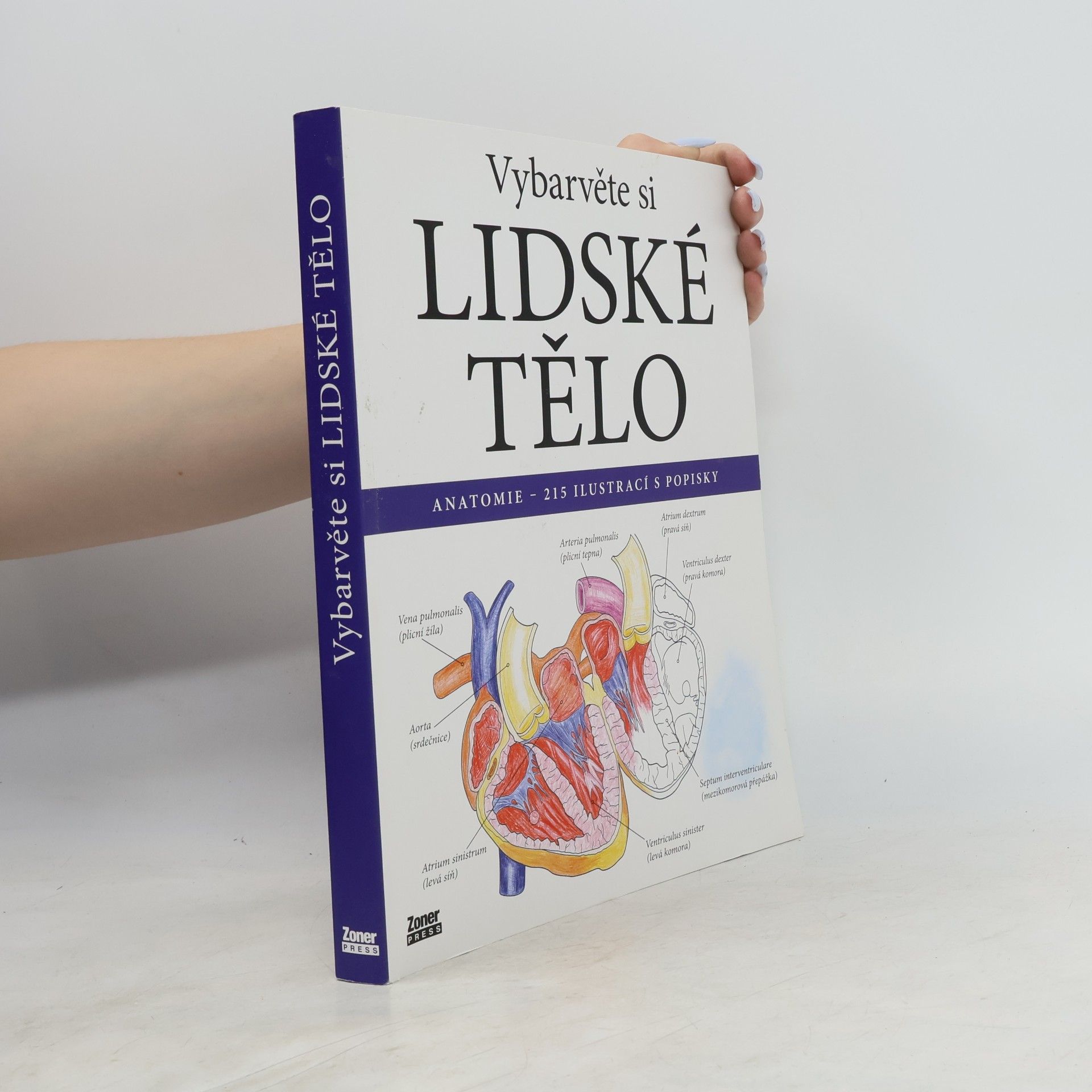 Evelína Kovácsová Vybarvěte si lidské tělo : anatomie - 215 ilustrací s popisky