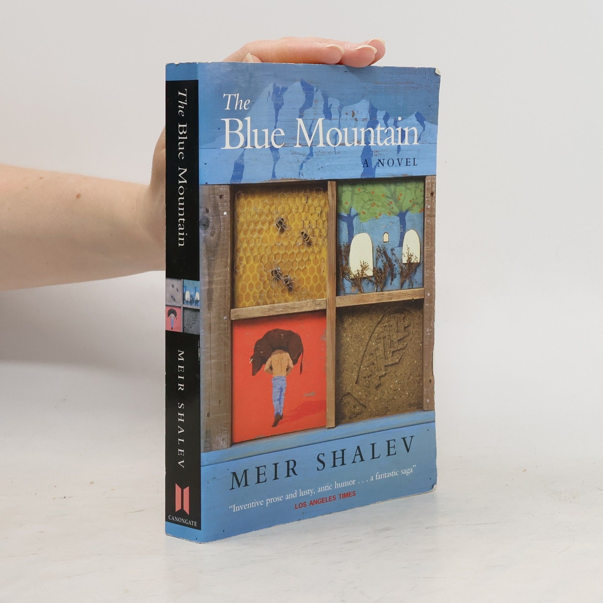 Meir Shalev The Blue Mountain