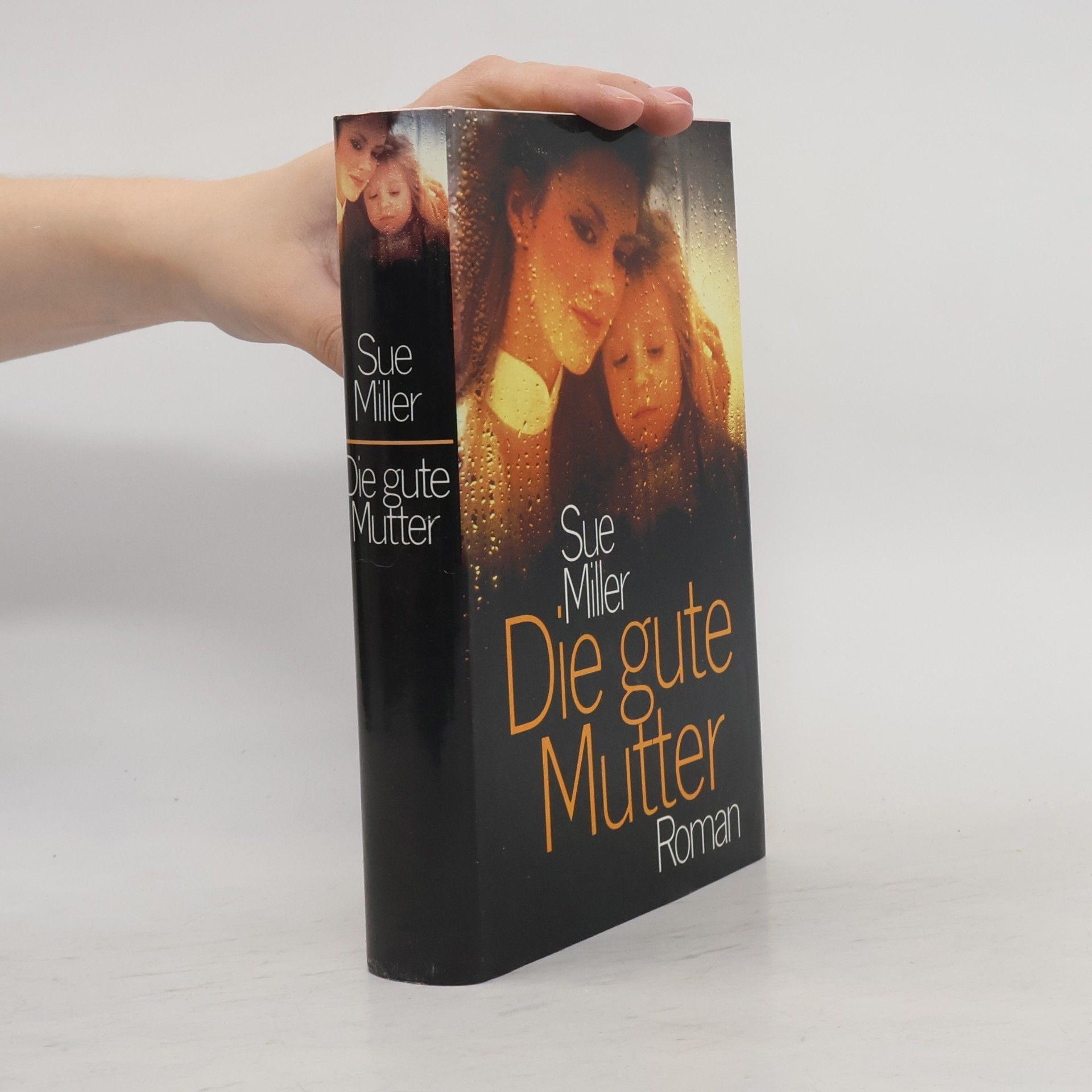 Sue Miller Die gute Mutter
