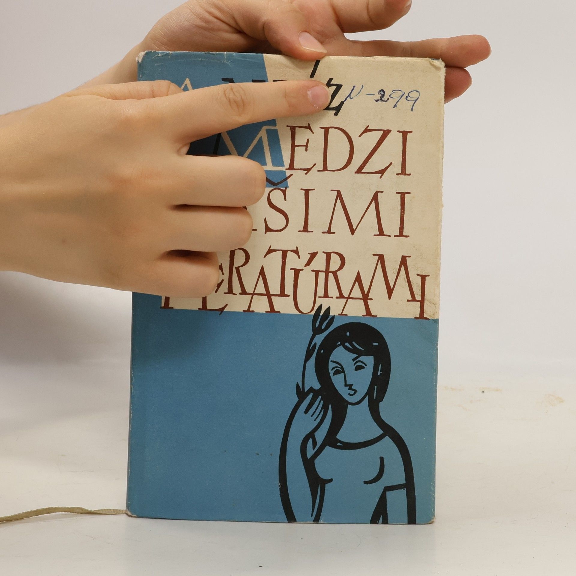 Andrej Mráz Medzi našimi literatúrami