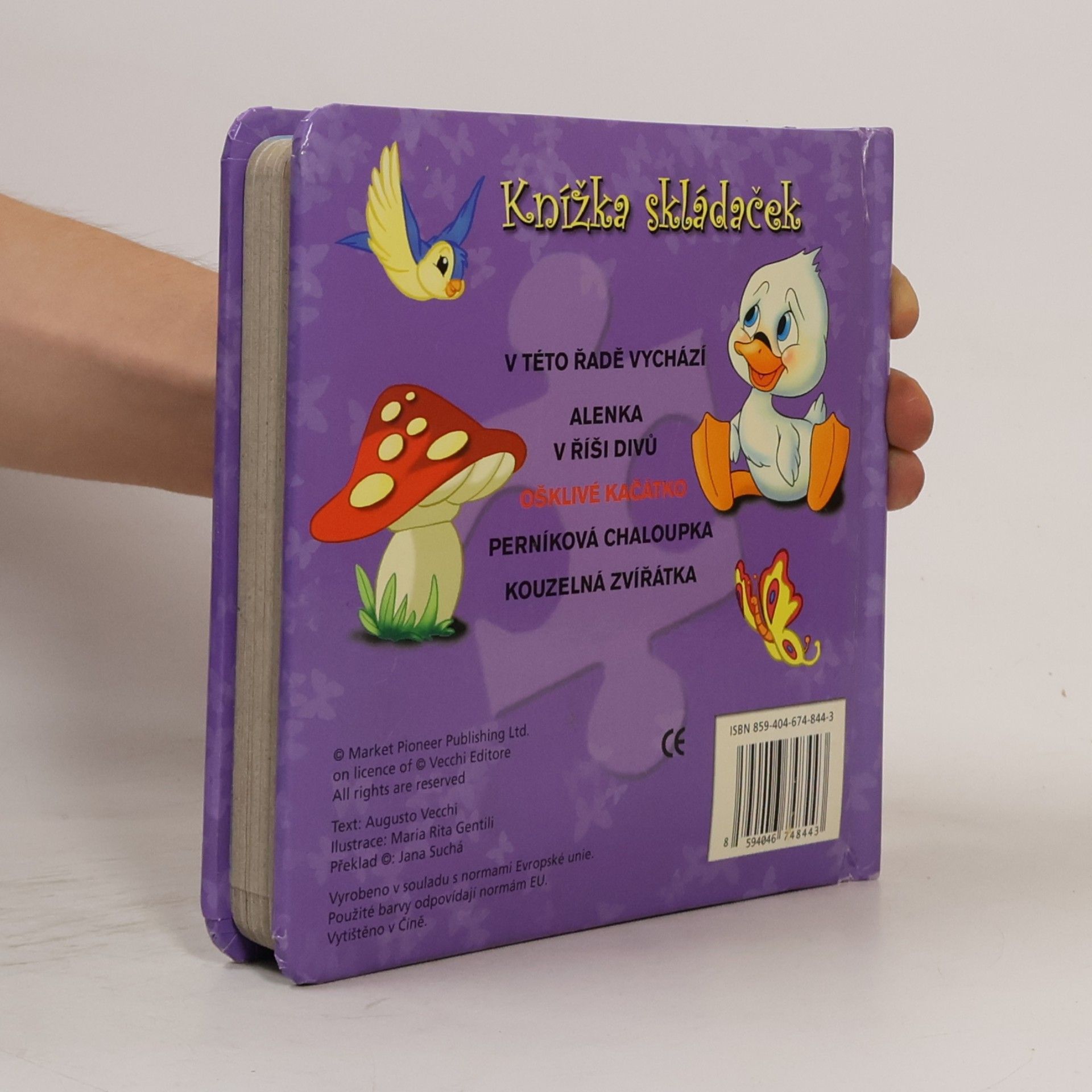 Autores varios Ošklivé káčátko