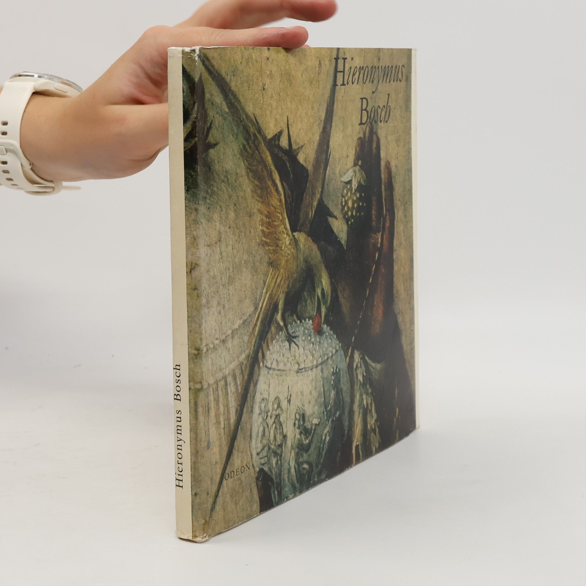 Hana Volavková Hieronymus Bosch