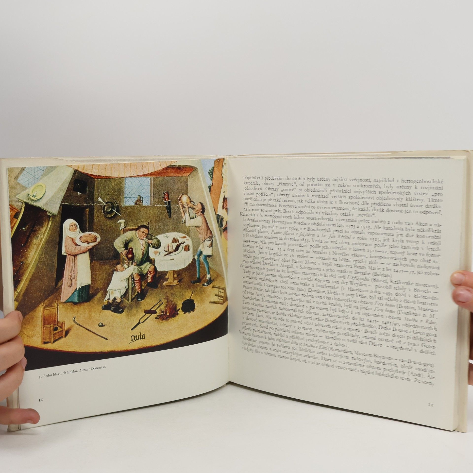 Hana Volavková Hieronymus Bosch