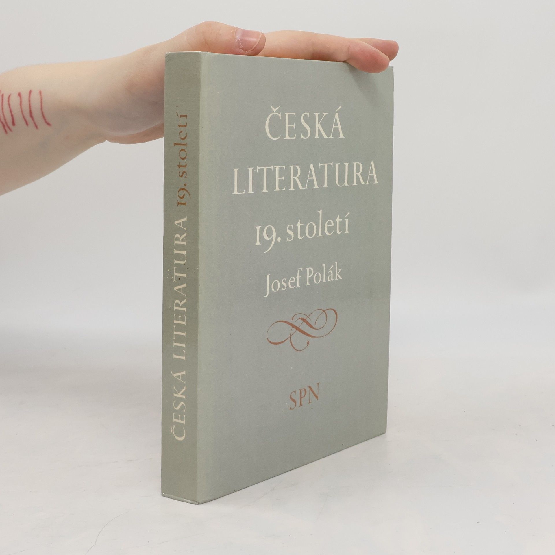 Josef Polák Česká literatura 19. století