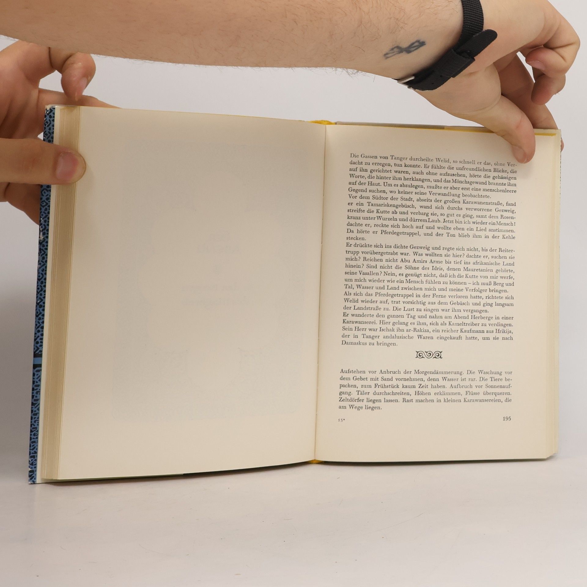 Elisabeth Hering Zu seinen Füßen Cordoba