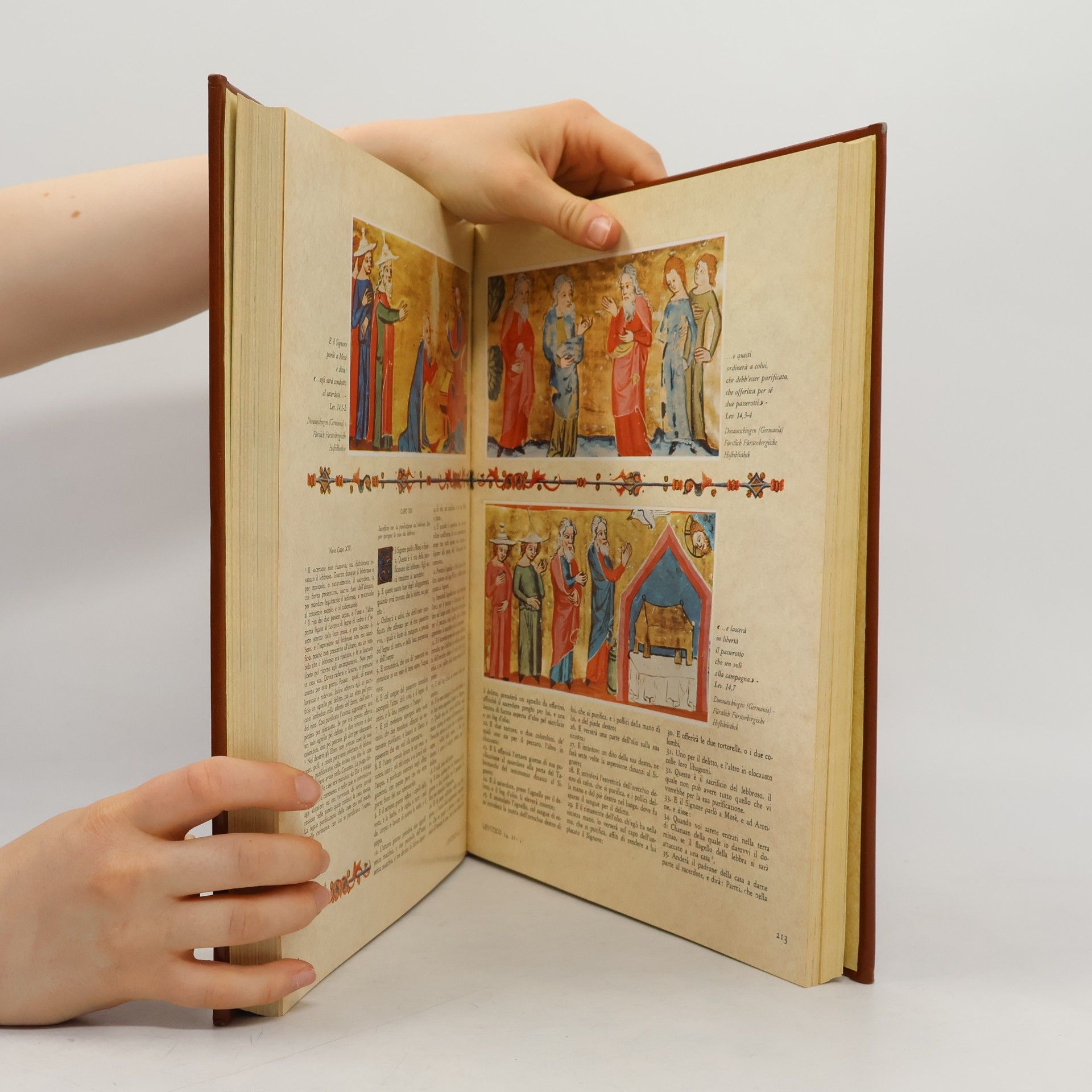 Kolektív autorov La Sacra Bibbia 1