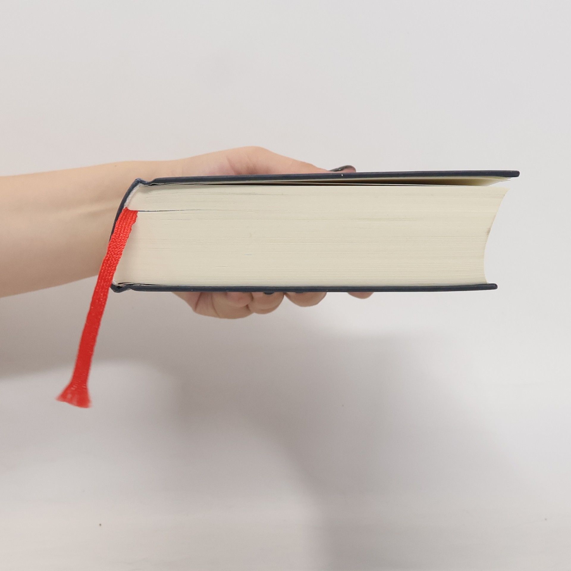 Marc Elsberg Gier