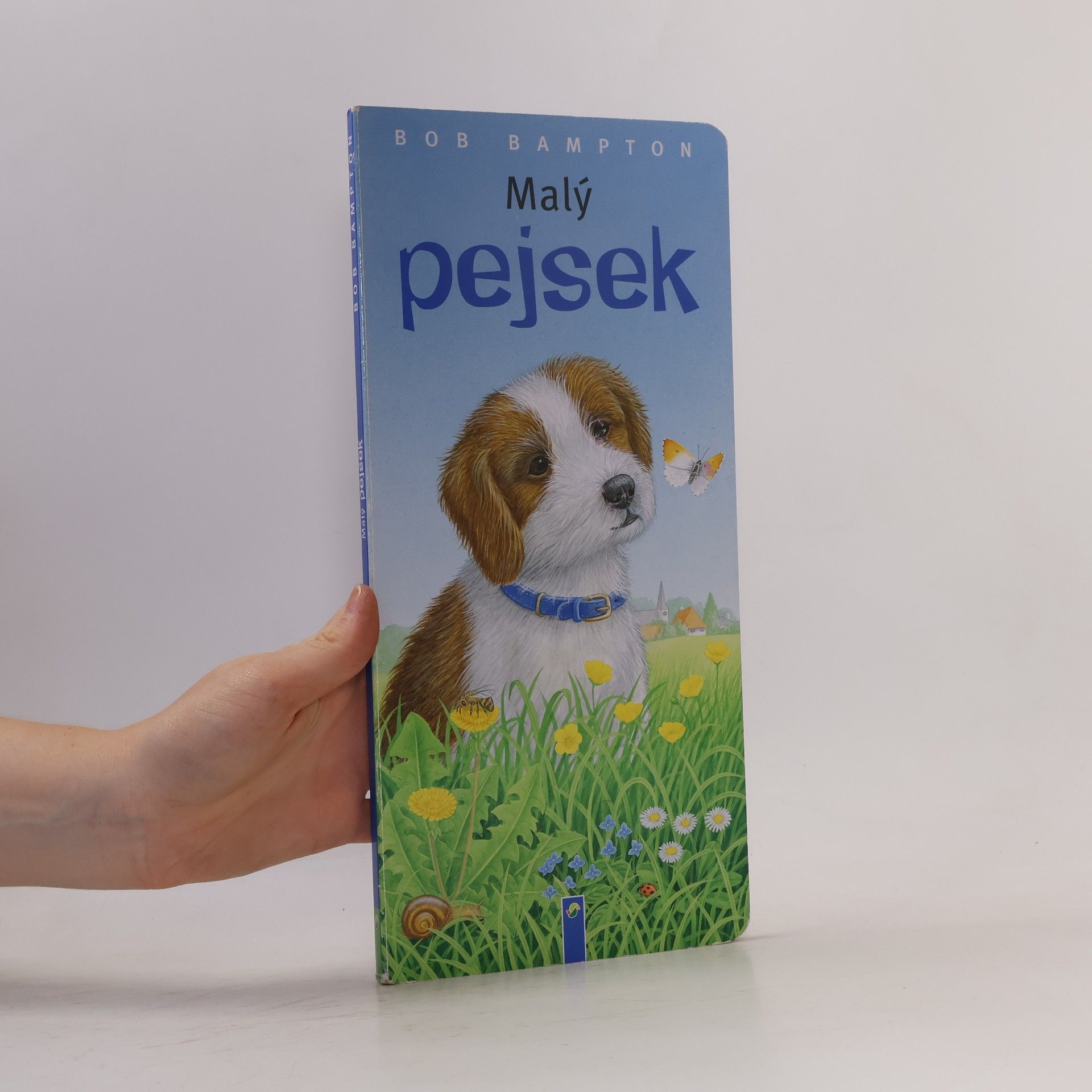 Malý pejsek