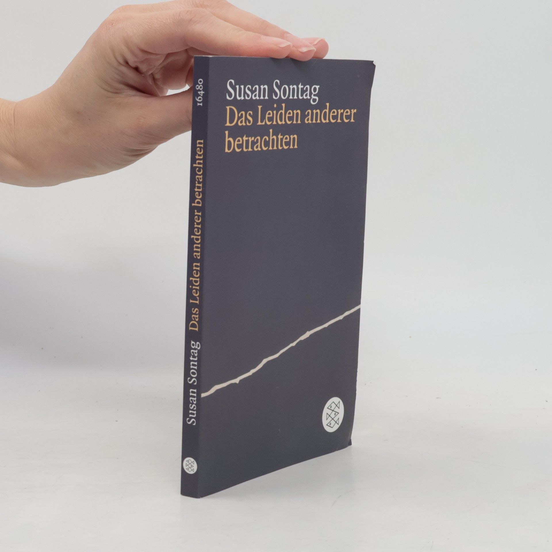 Susan Sontag Das Leiden anderer betrachten