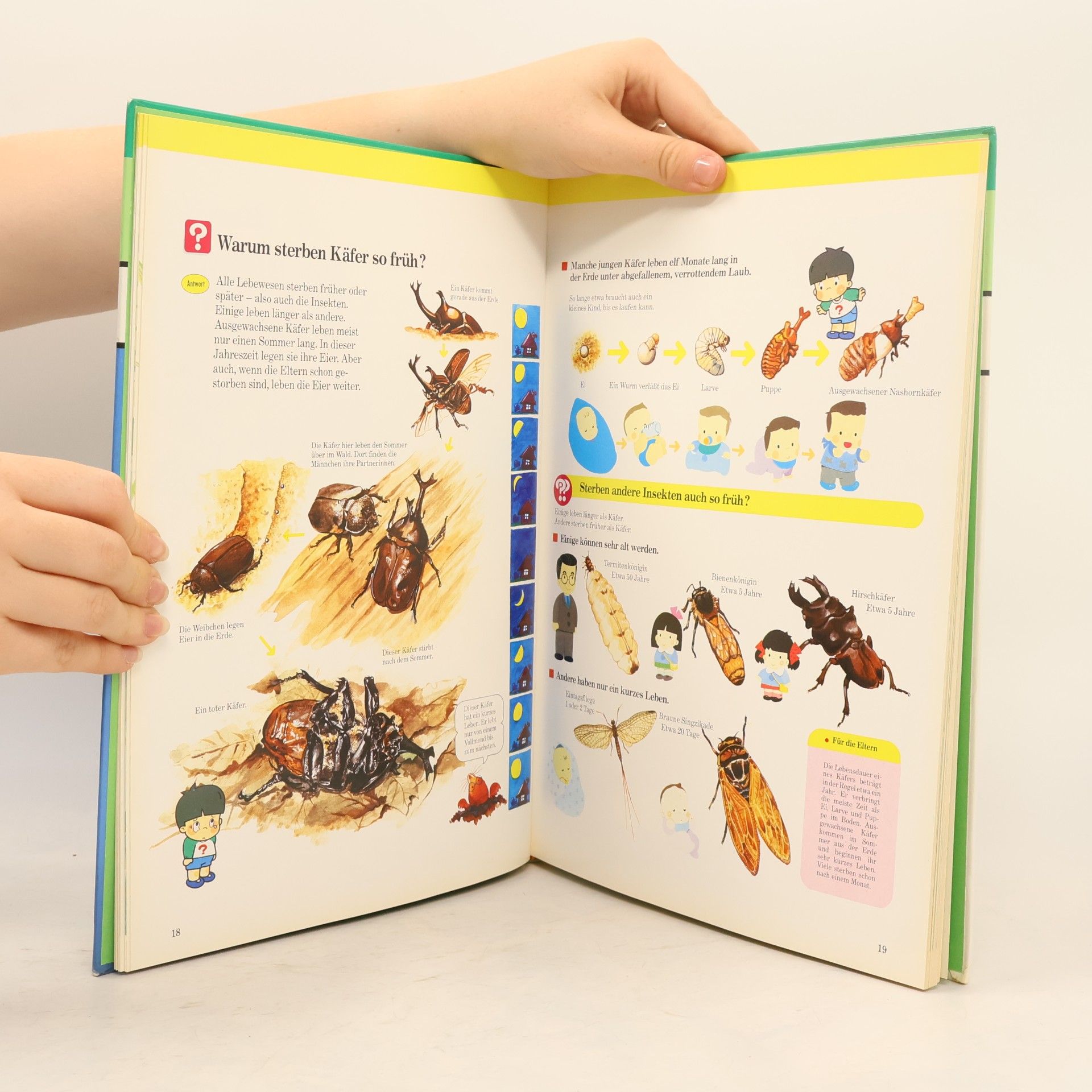 Marianne Tölle Kinder entdecken ... die Welt der Insekten