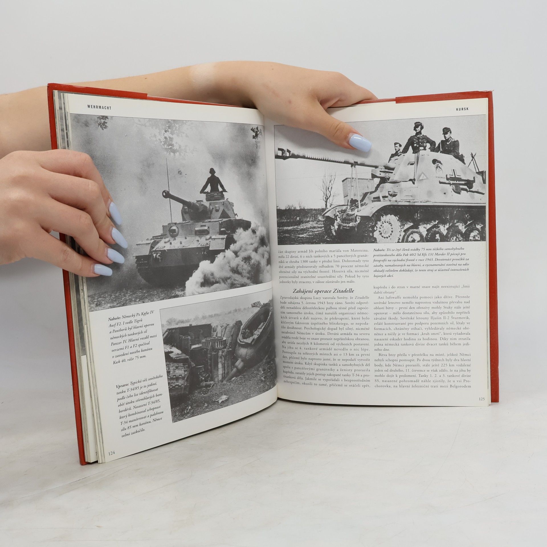 John Pimlott Wehrmacht. Illustrovaná historie německé armády ve 2. světové válce