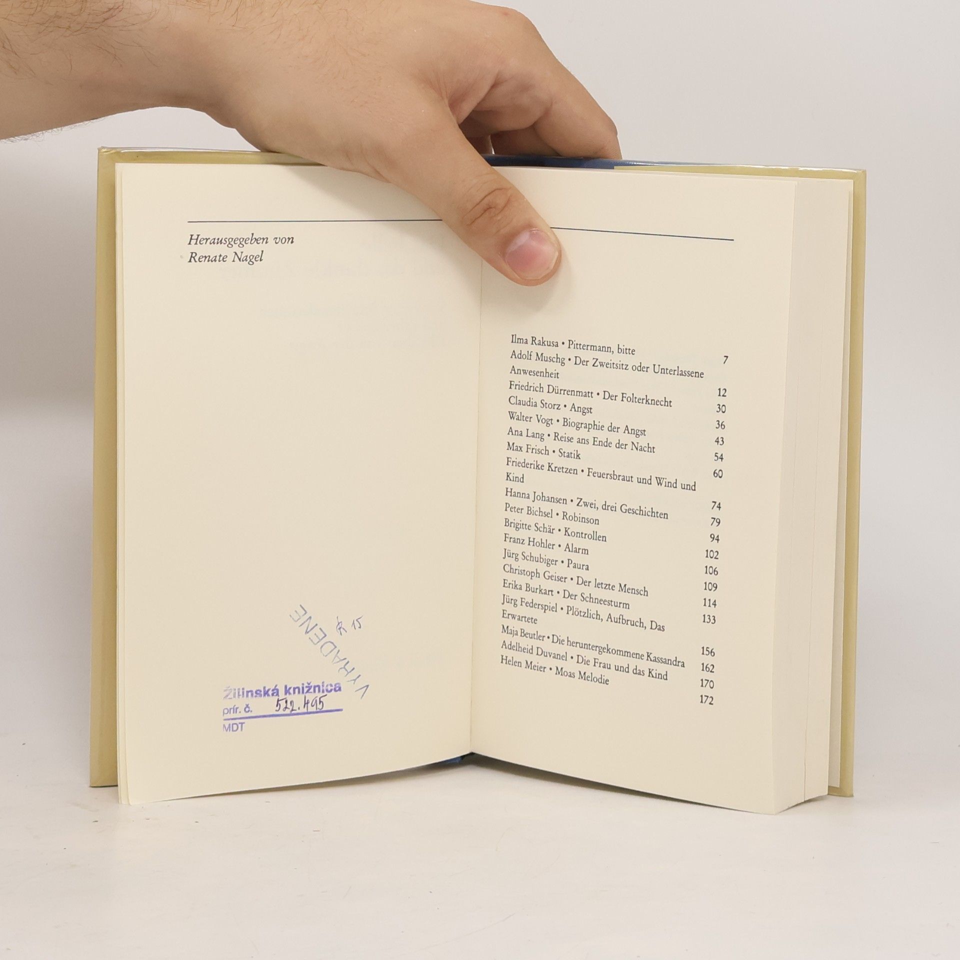 Renate Nagel Das helle und das dunkle Zimmer