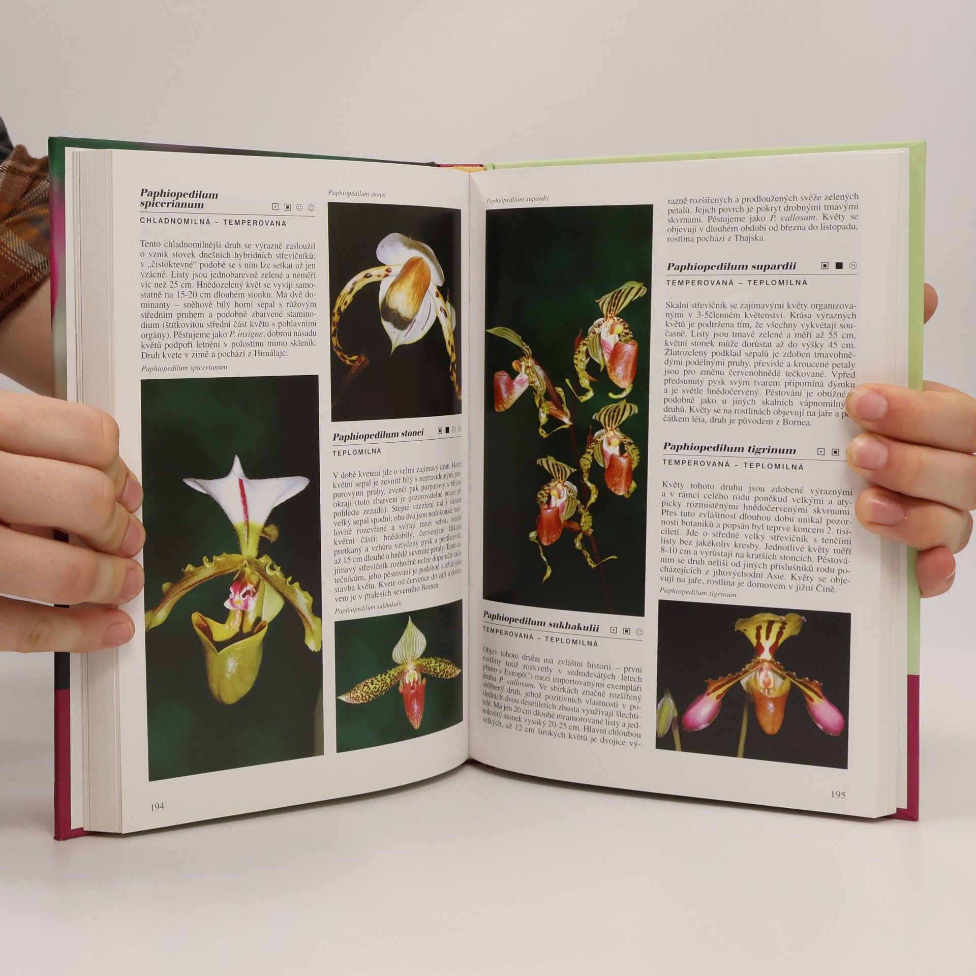 Zdeněk Ježek Encyklopedie orchideje