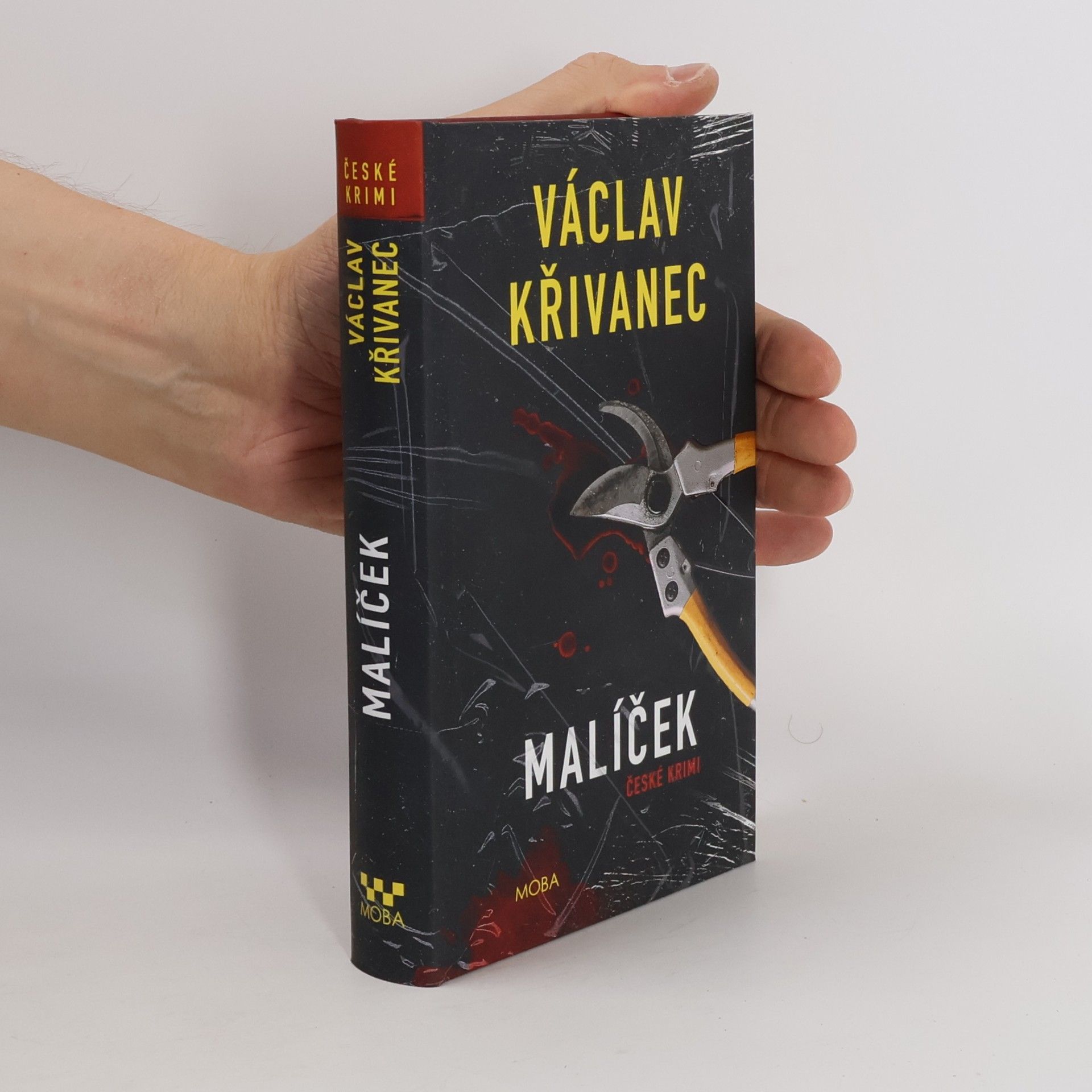 Václav Křivanec Malíček