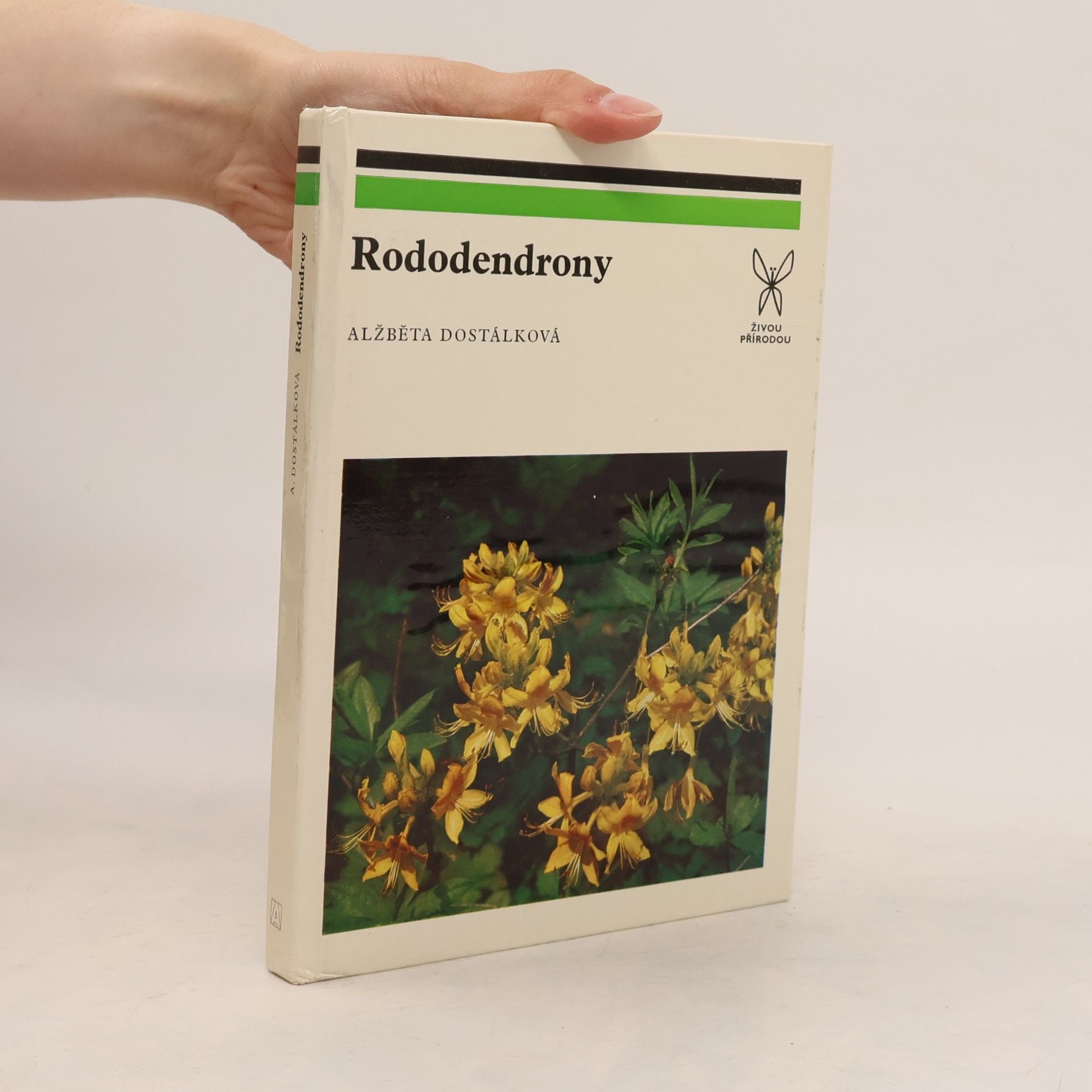 Alžběta Dostálková Rododendrony