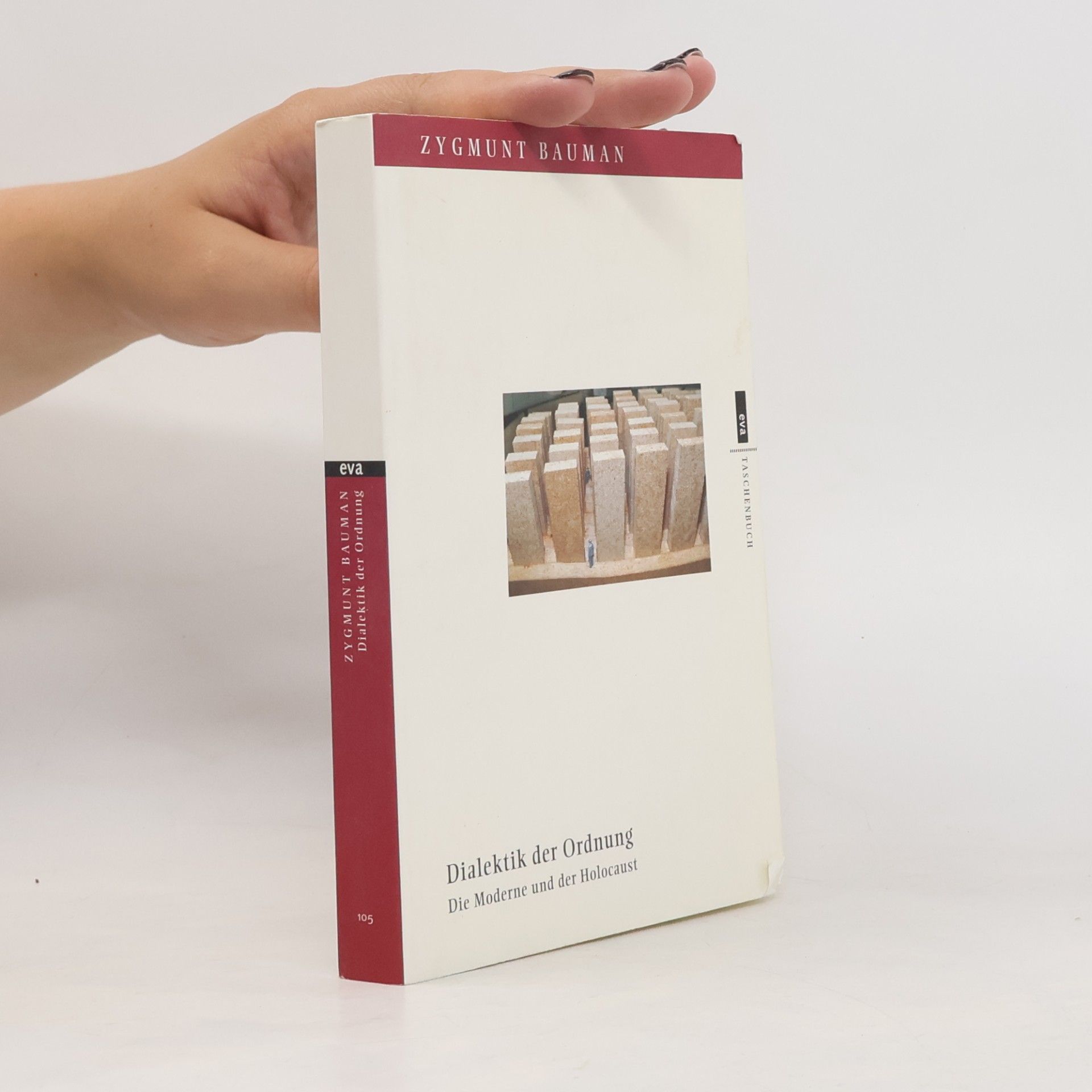 Eva Taschenbuch - 105: Dialektik der Ordnung