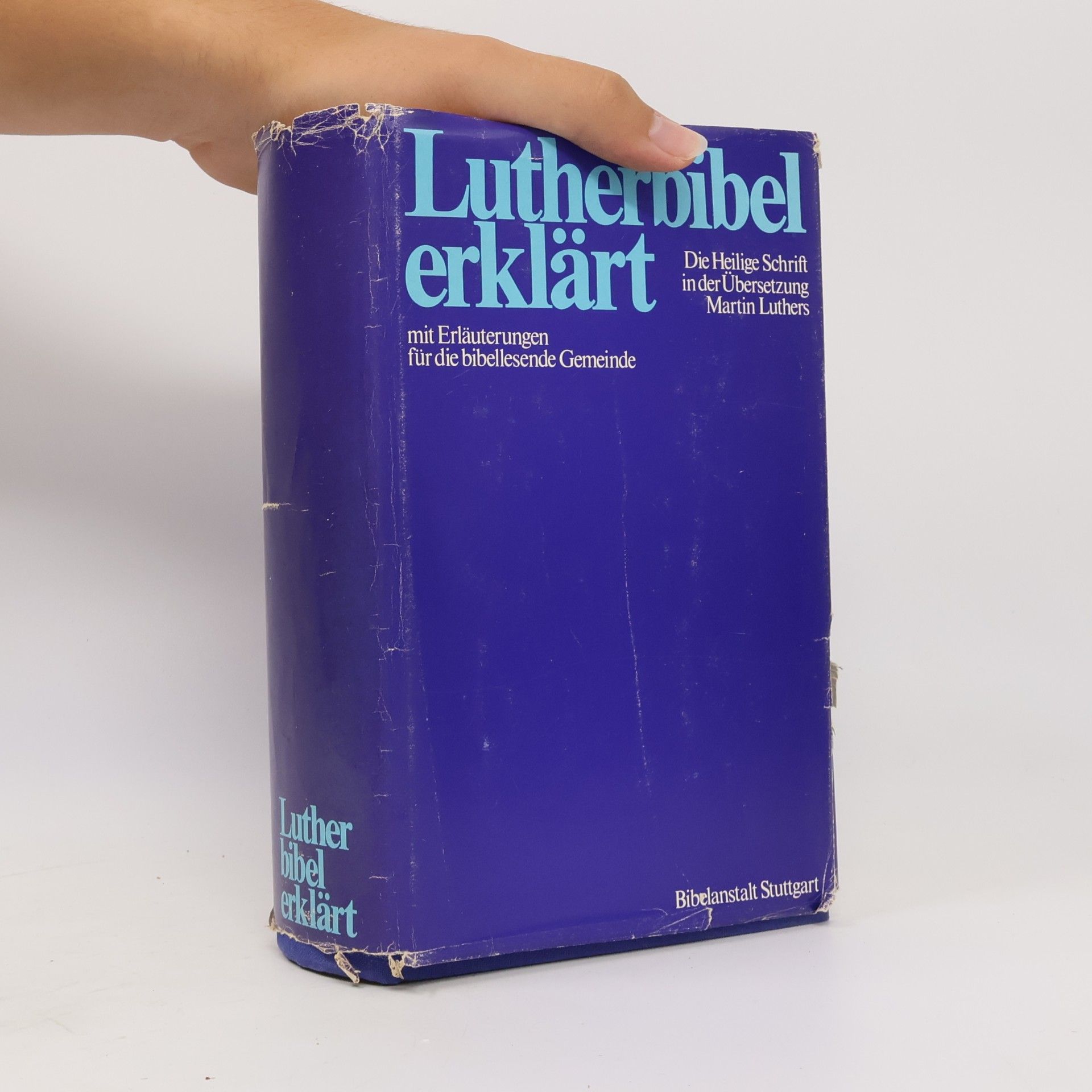 Martin Luther Lutherbibel erklärt